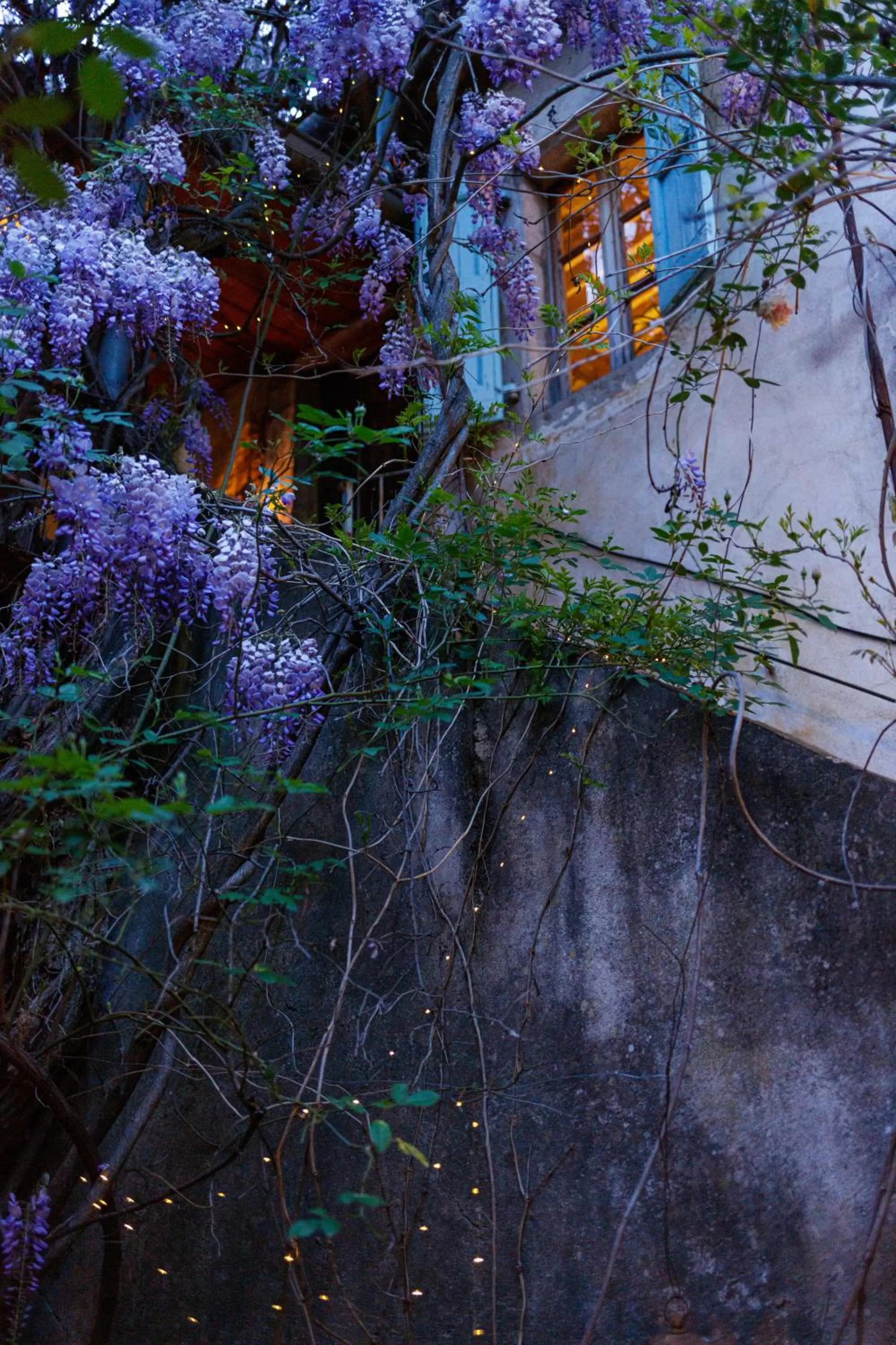 Facade/entrance in La Vieille Maison - Halte Gourmande
