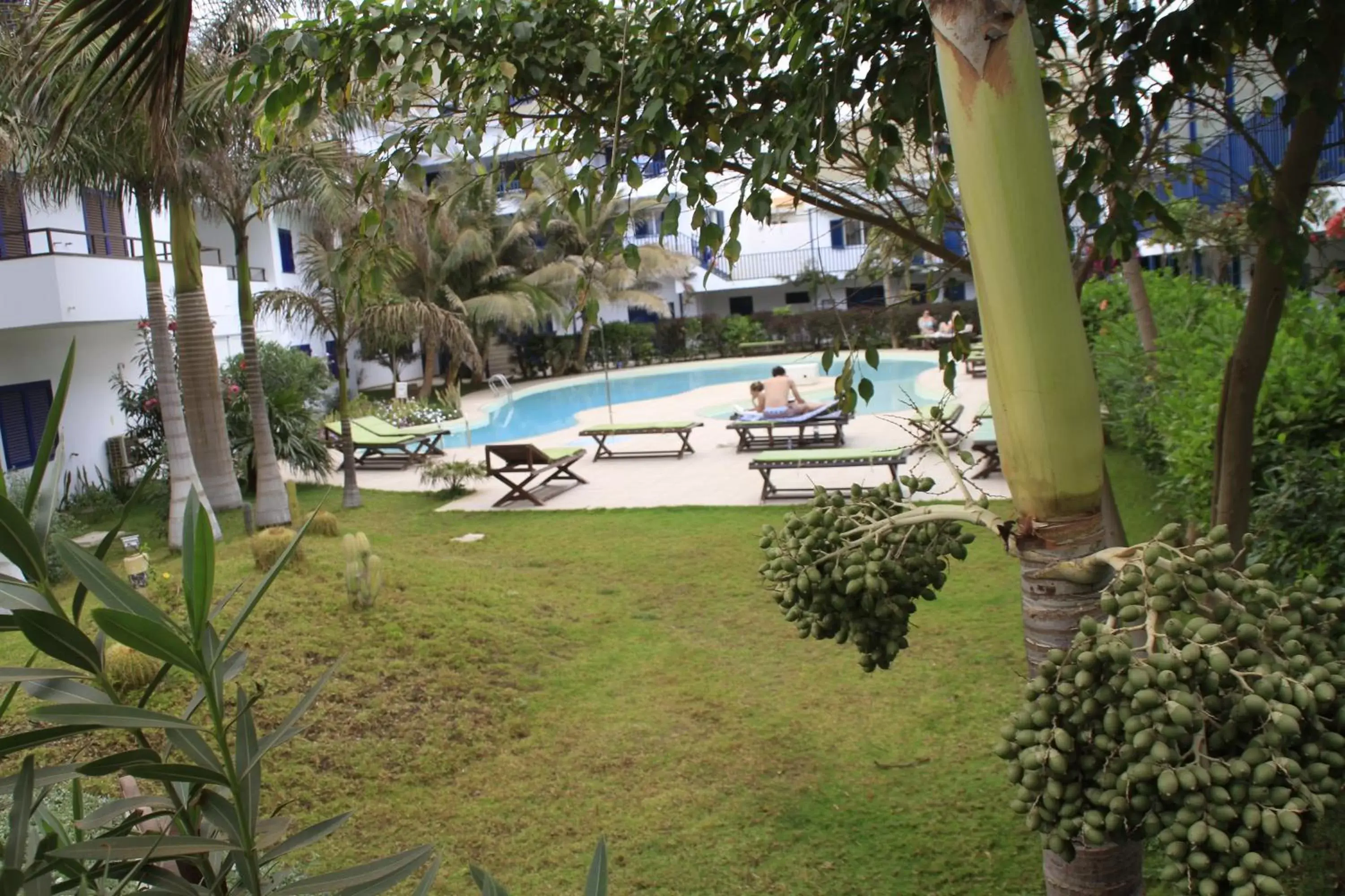 Garden, Swimming Pool in Leme Bedje Residence
