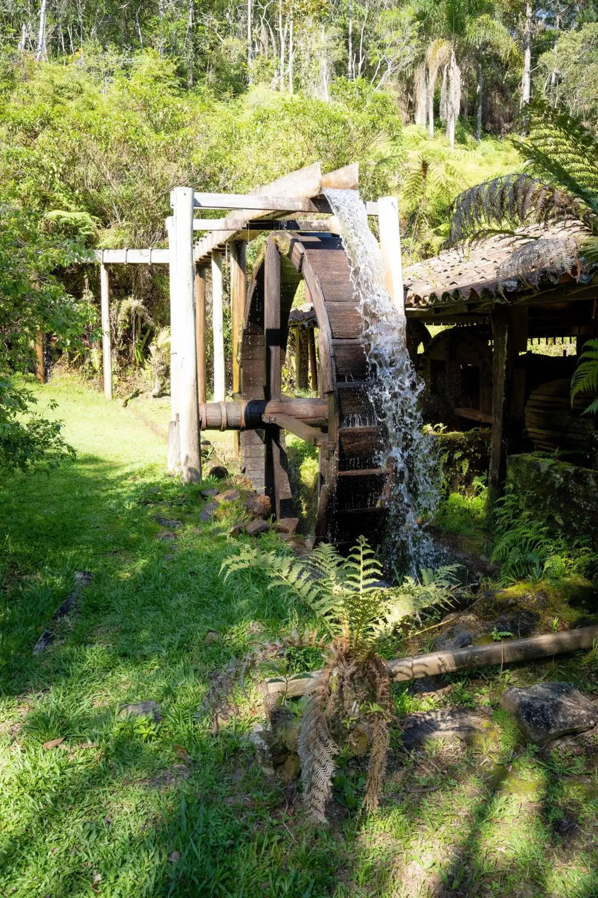 Natural landscape in Plaza Caldas da Imperatriz Resort & Spa