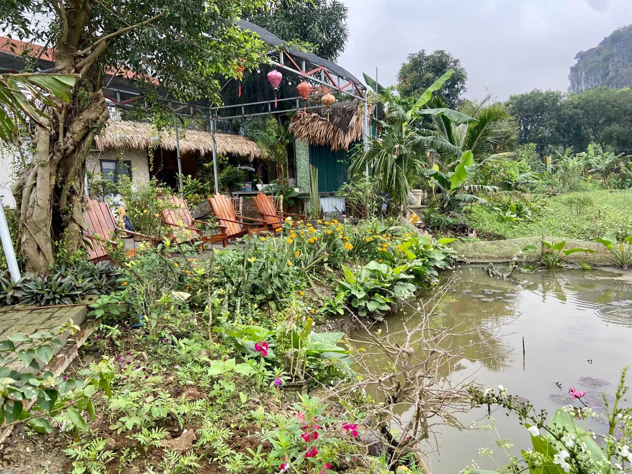 Property Building in Tam Coc Mountain View Homestay