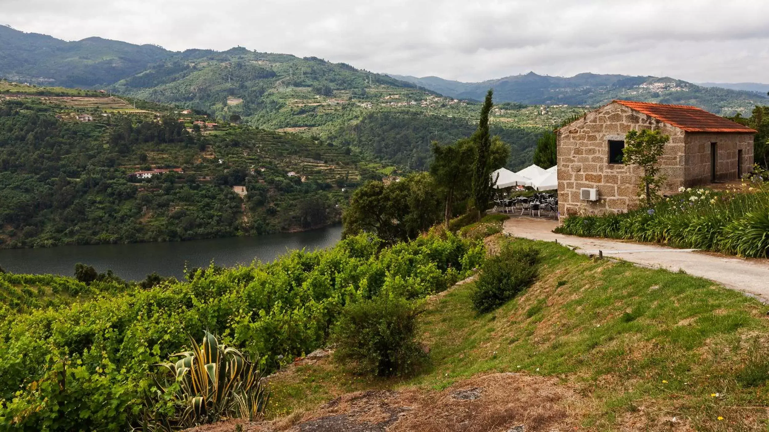 River view in Douro Palace Hotel Resort & SPA