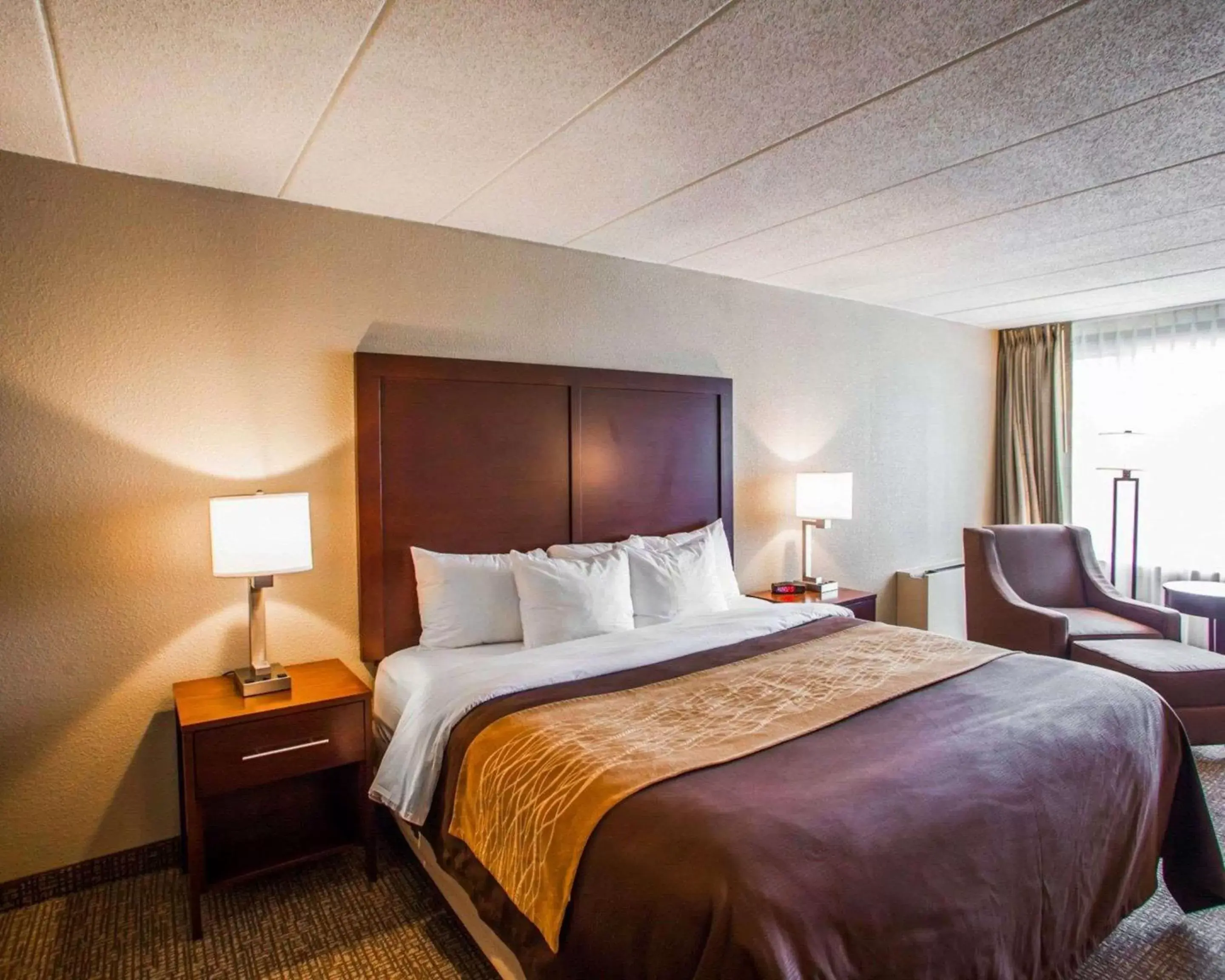 Photo of the whole room, Bed in Quality Inn & Suites Orland Park - Chicago