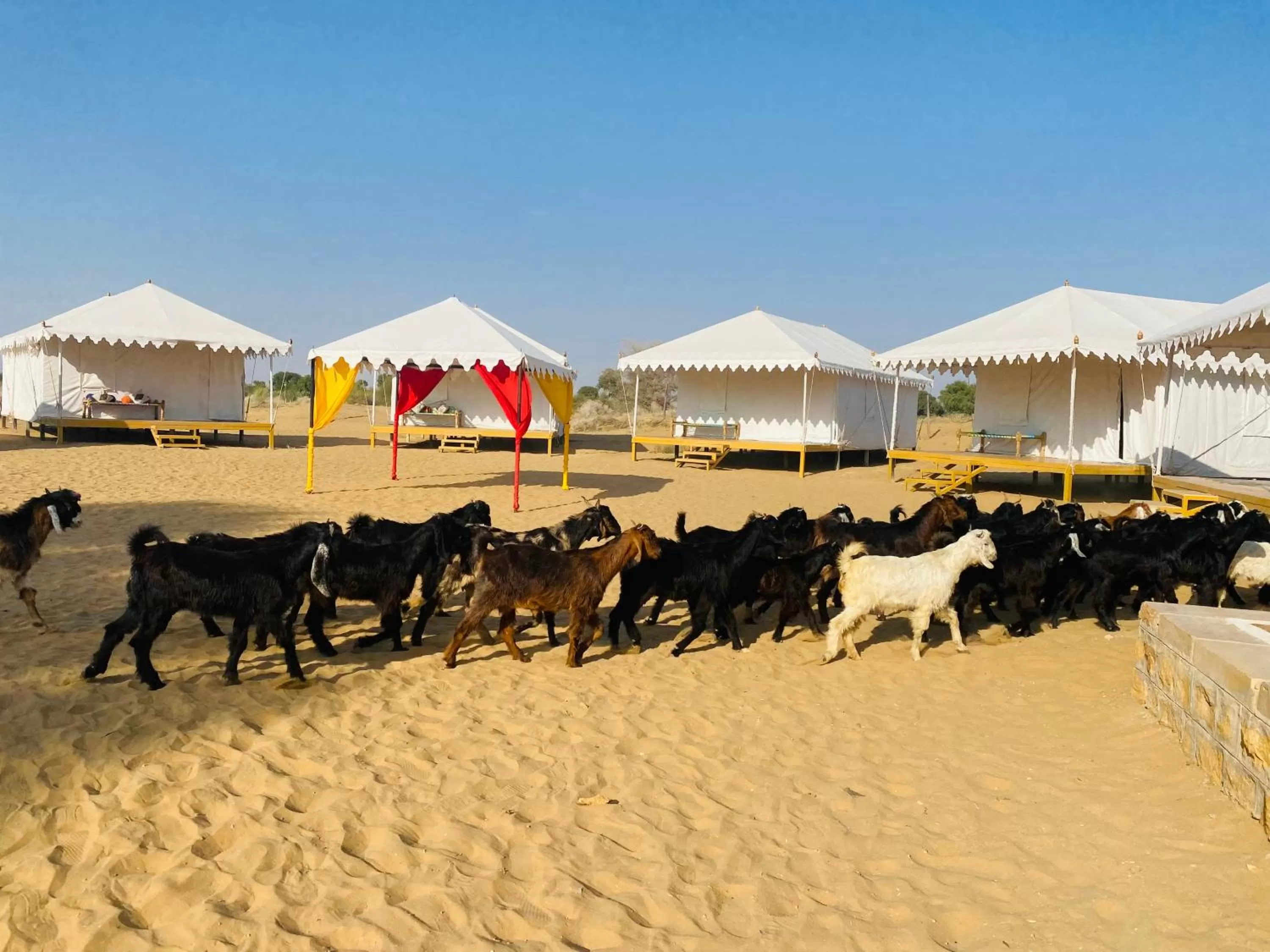 Activities in Helsinki Desert Camp