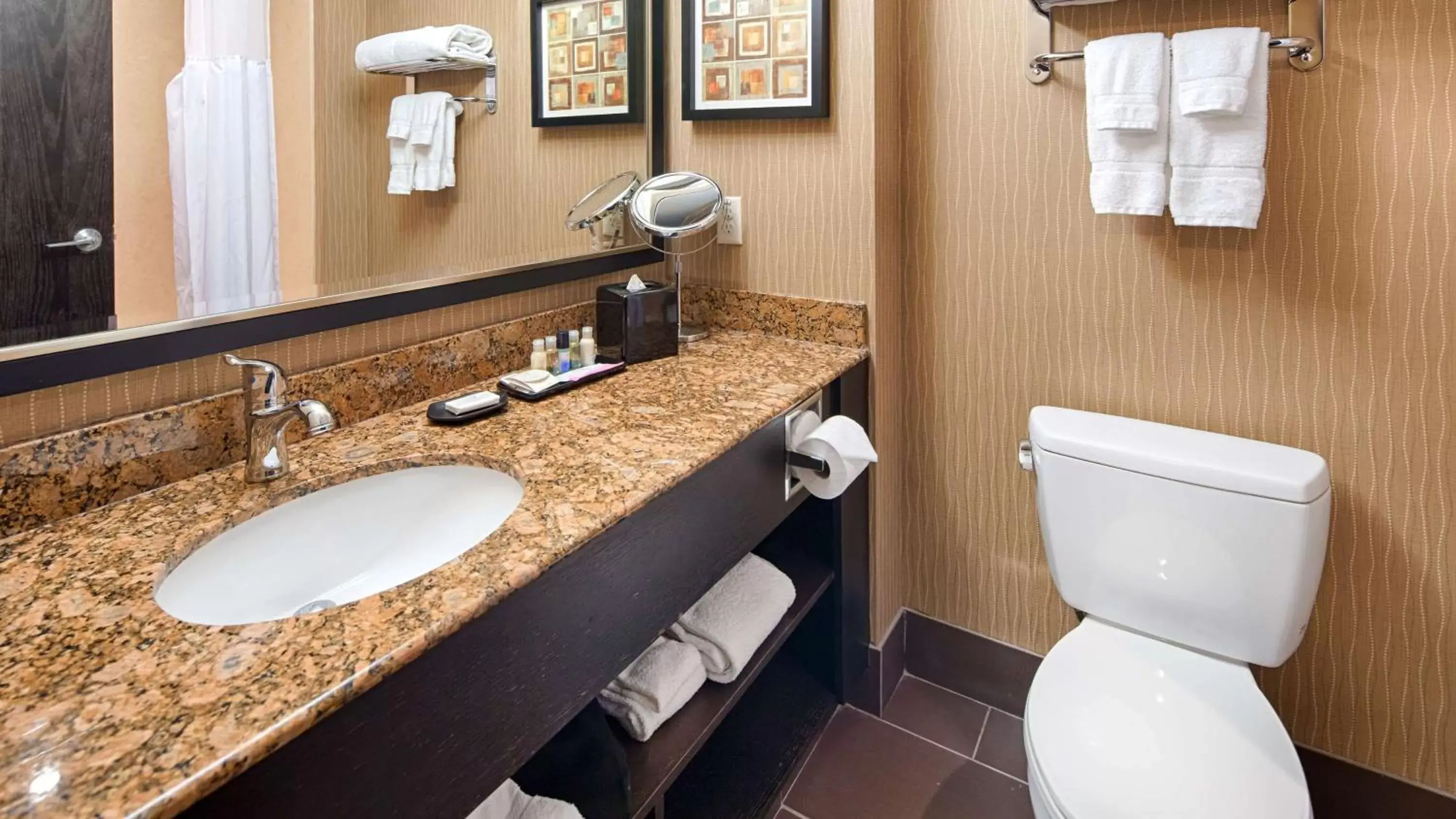 Bathroom in Best Western Premier Freeport Inn Calgary Airport