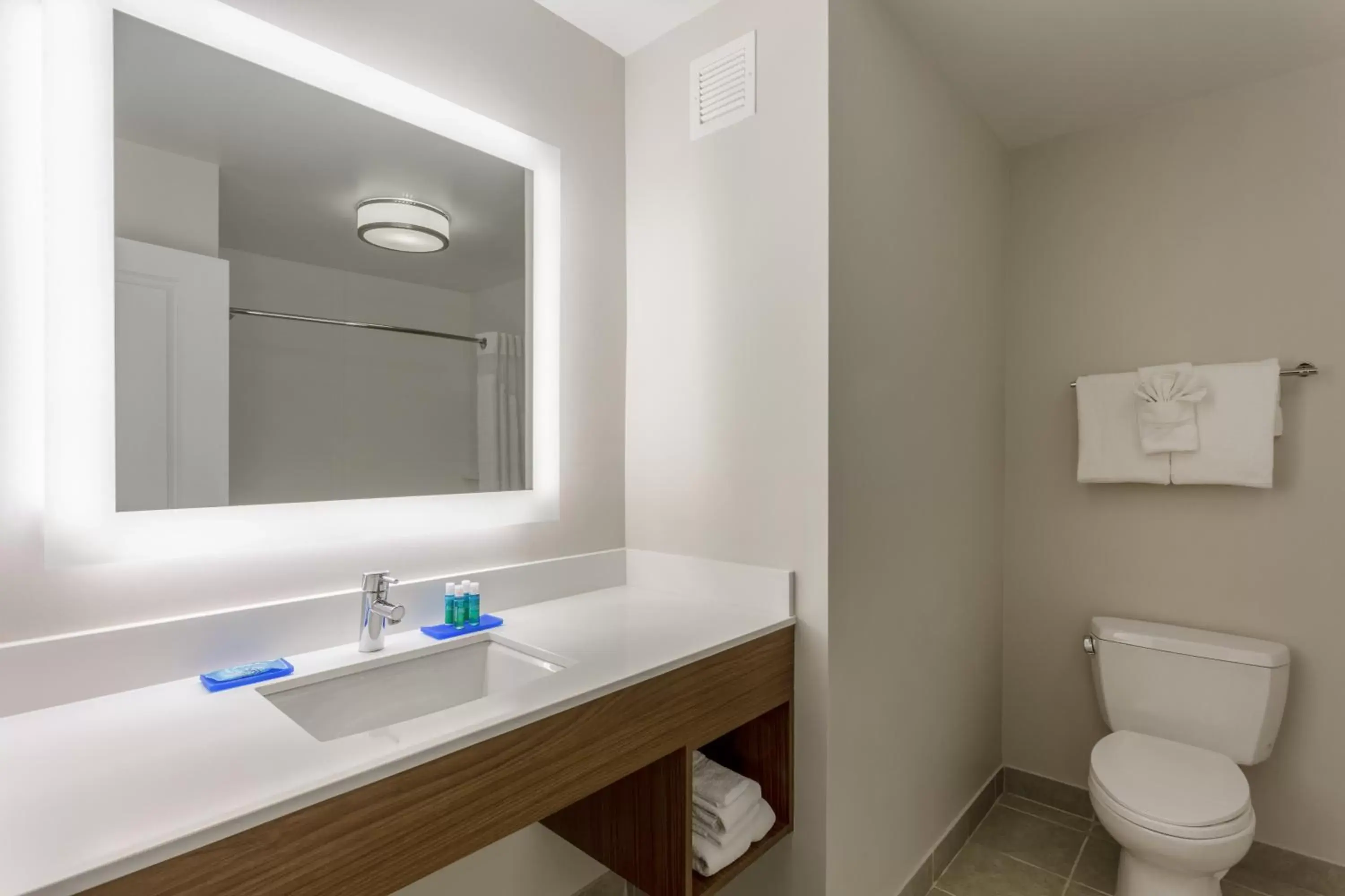 Bathroom in Holiday Inn Express & Suites St. Louis - Chesterfield, an IHG Hotel