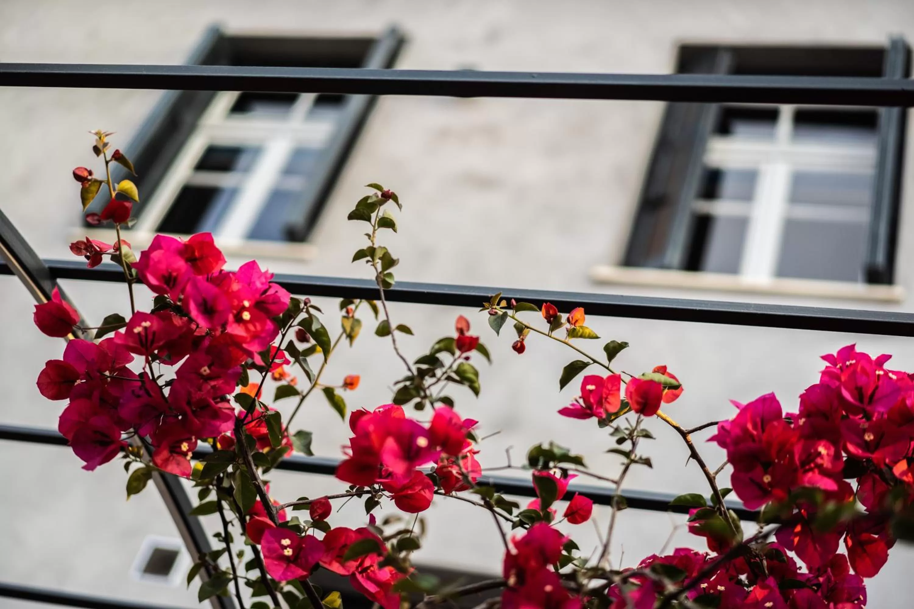 Aethra Boutique Rooms