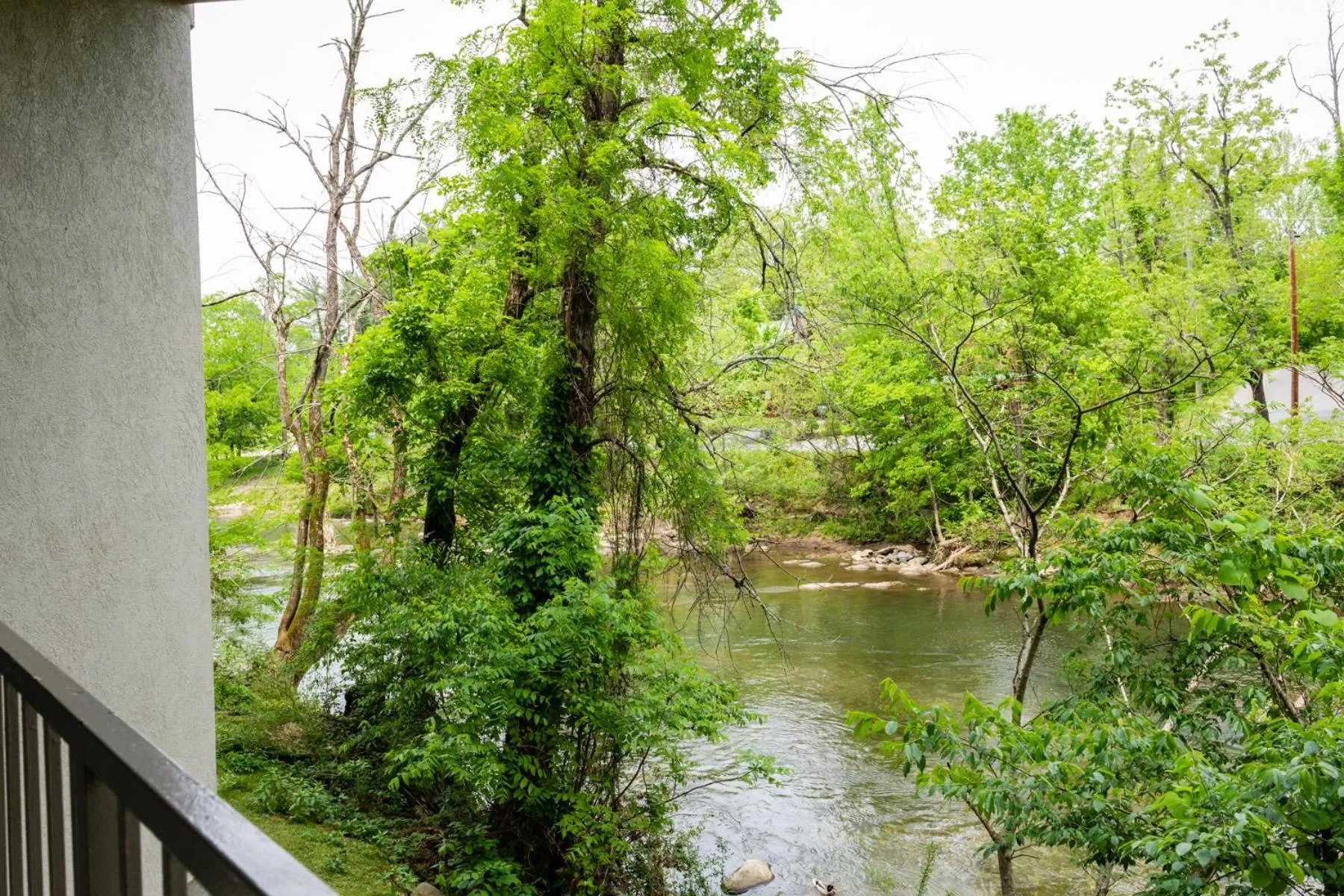 River view in Twin Mountain Inn & Suites