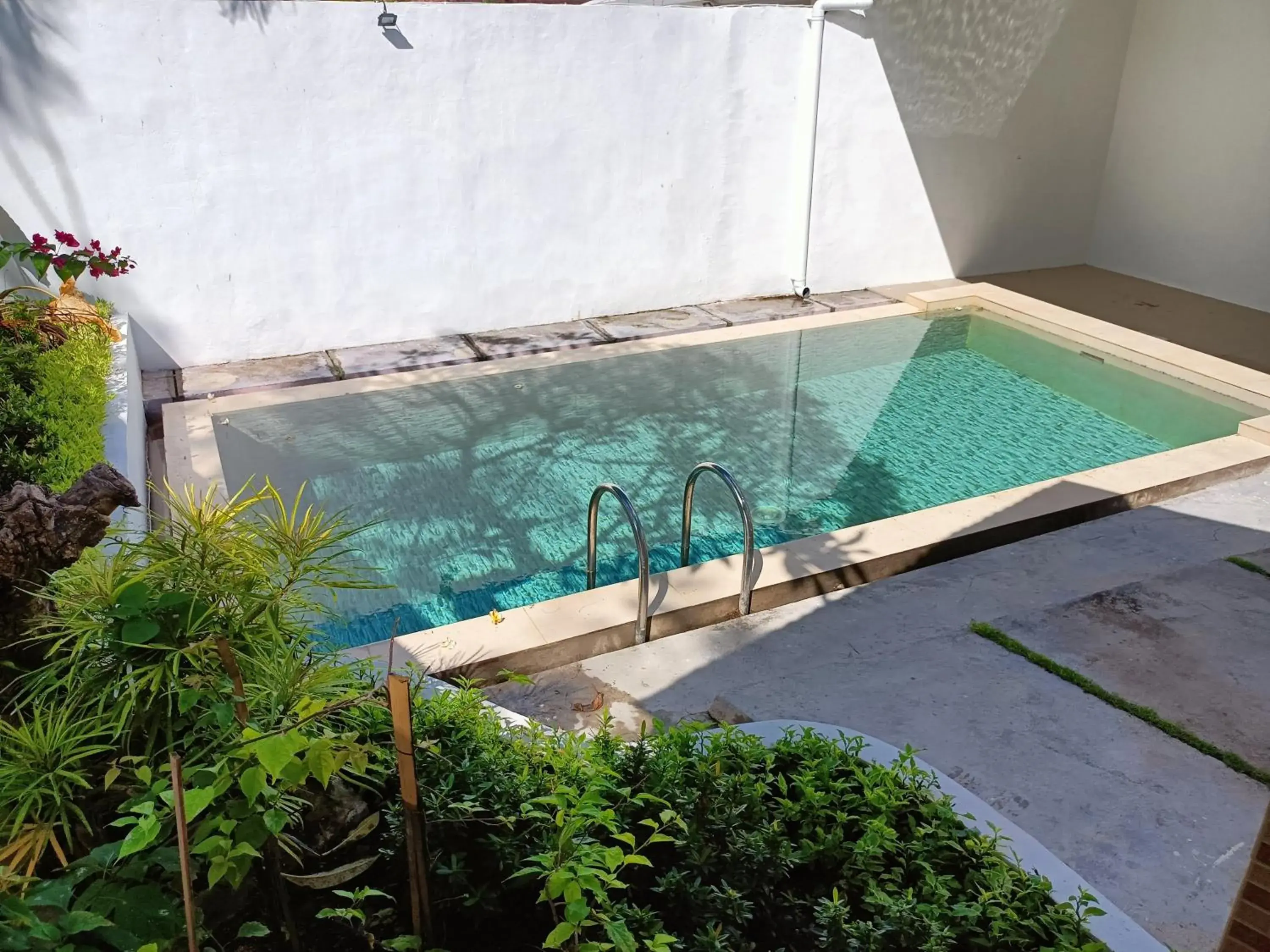 Swimming Pool in Lavender Villa & Spa