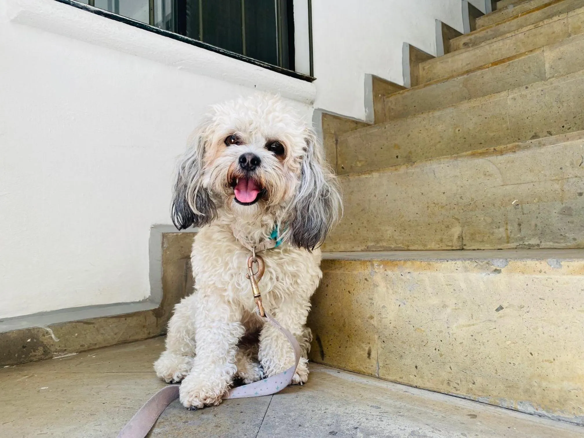 Property building in Kuku Ruku Hotel