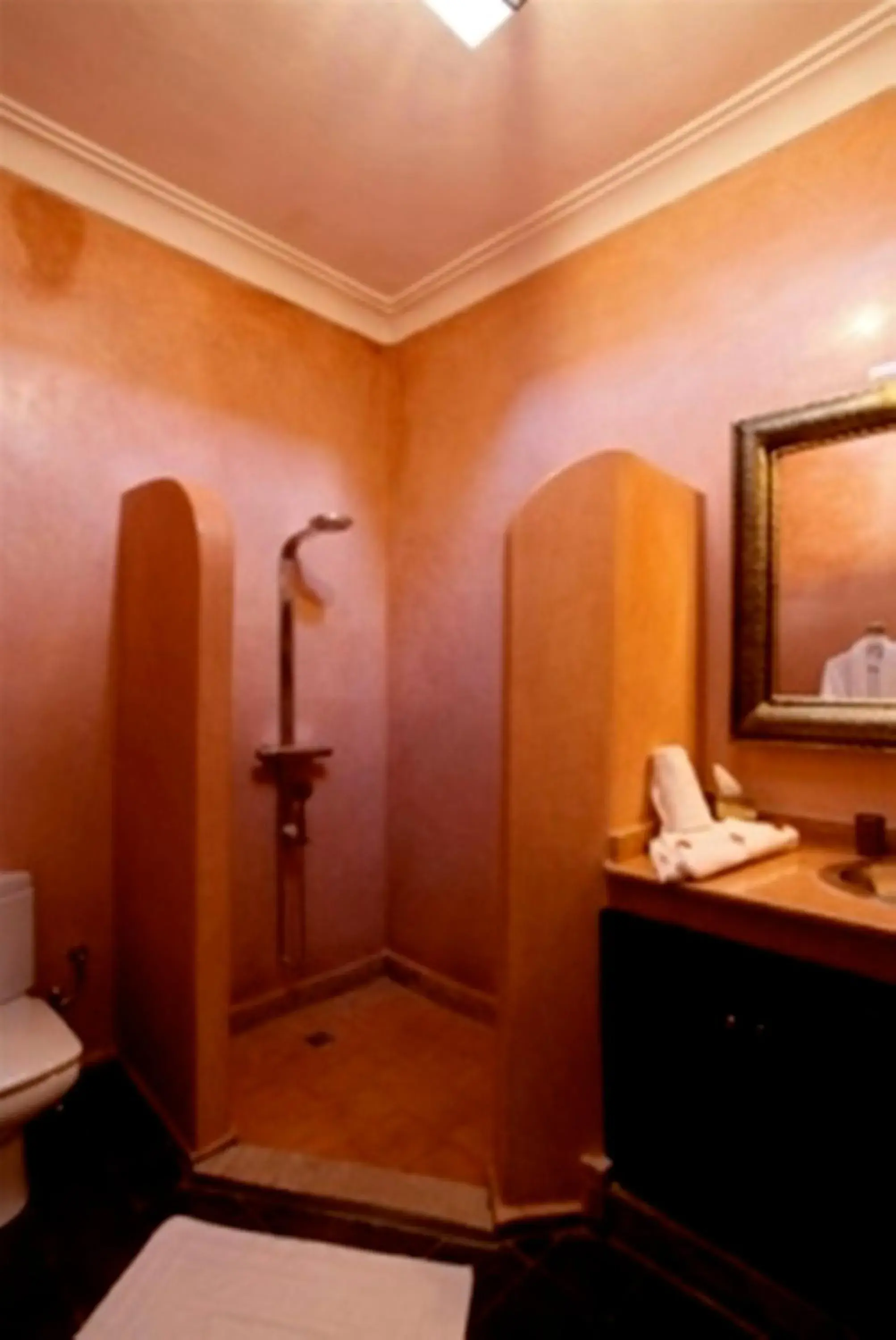 Other, Bathroom in Ryad Amiran & Spa
