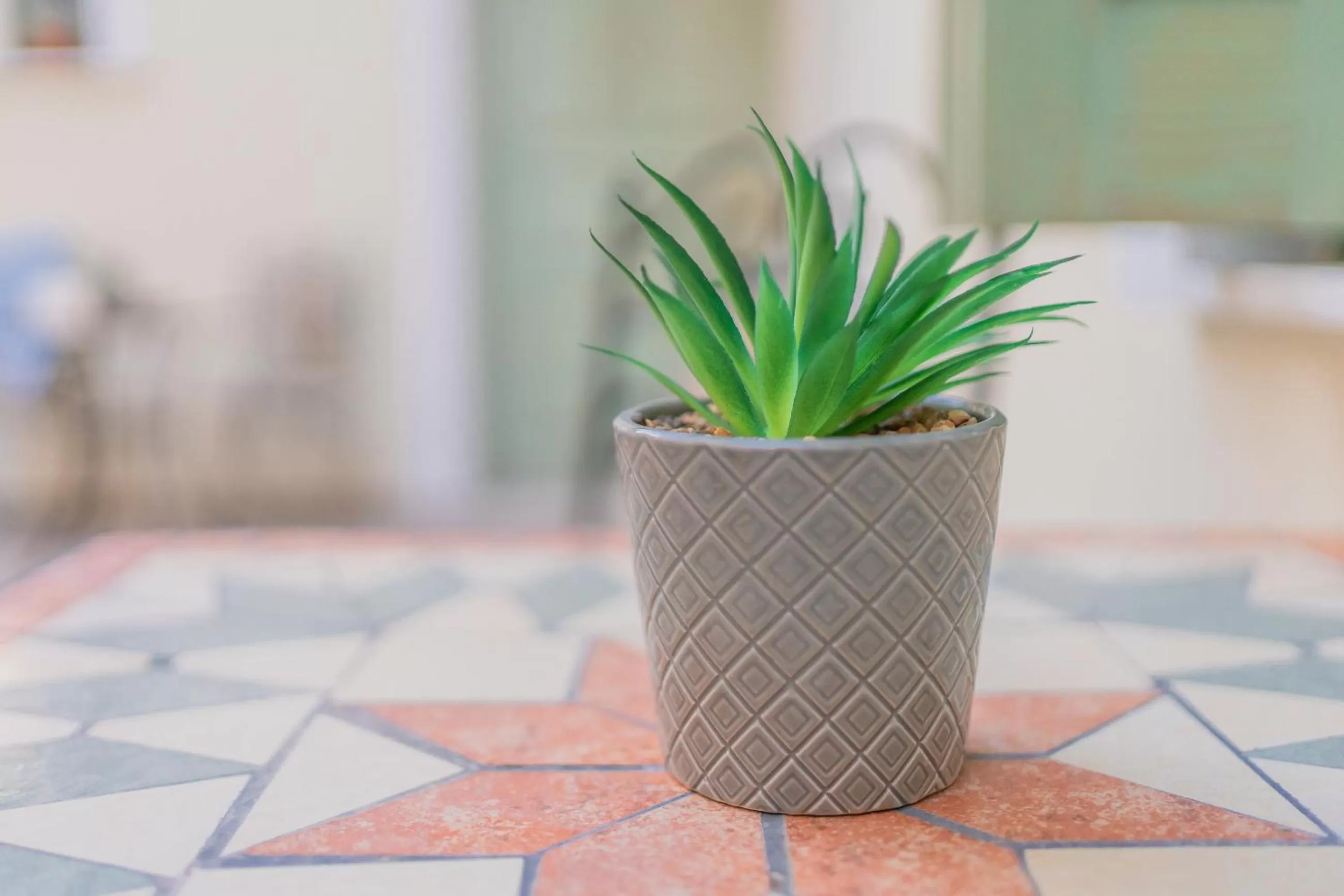 The Stone Manor , Noho boutique hotel Thissio