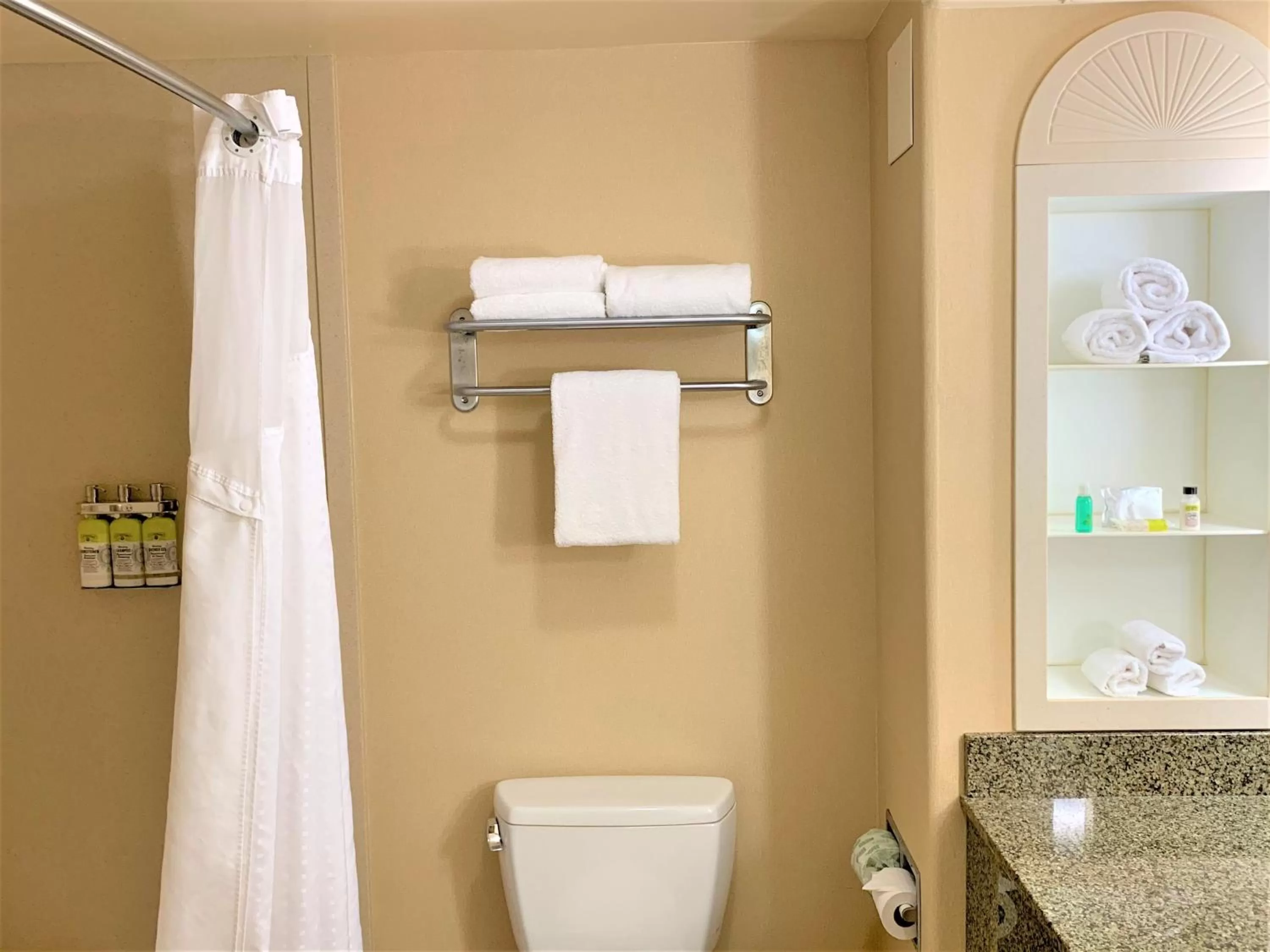 Bathroom in Holiday Inn Express Fresno Northwest - Herndon by IHG
