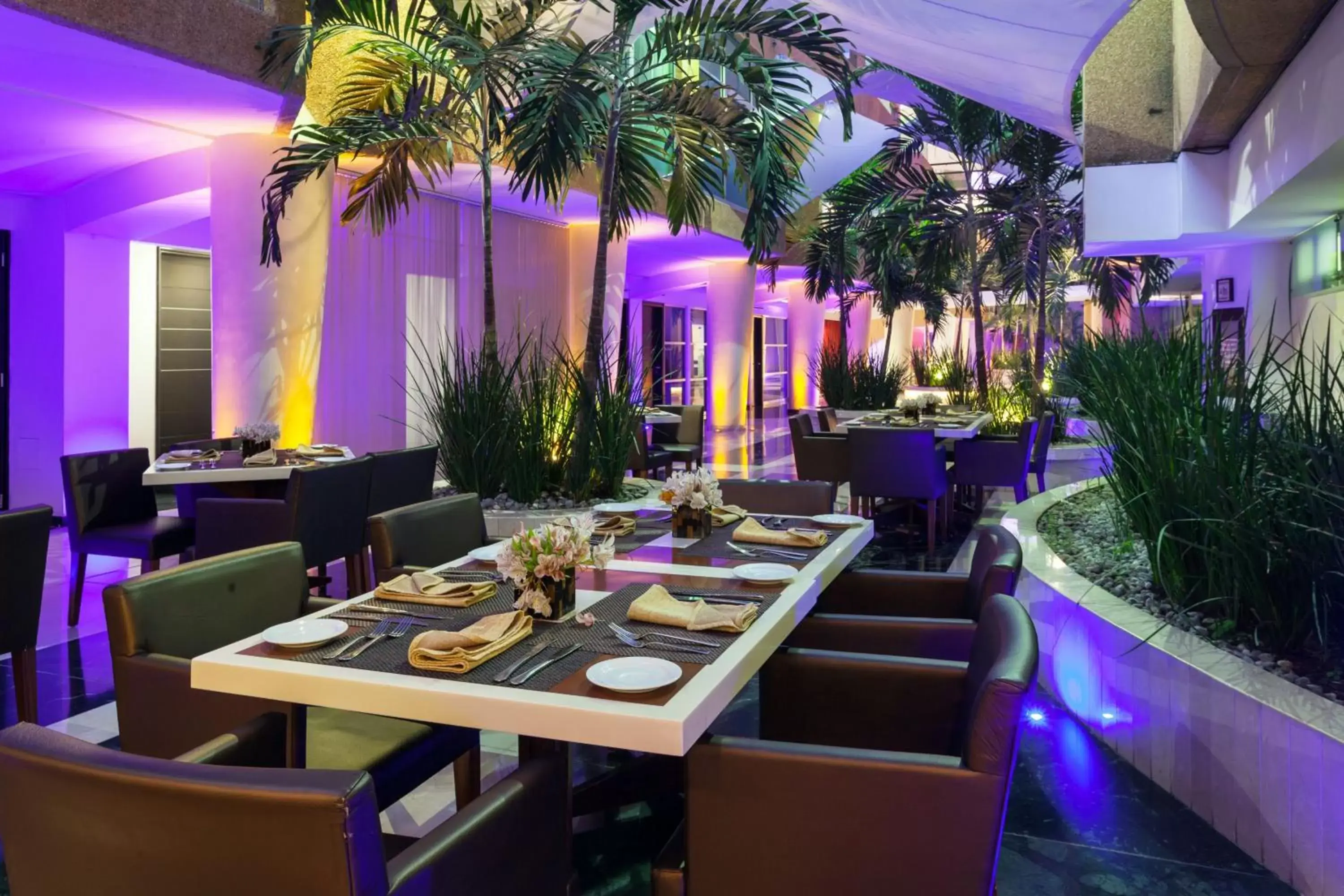 Restaurant/places to eat in Crowne Plaza Toluca - Lancaster by IHG Restaurant/places to eat in Crowne Plaza Toluca - Lancaster by IHG