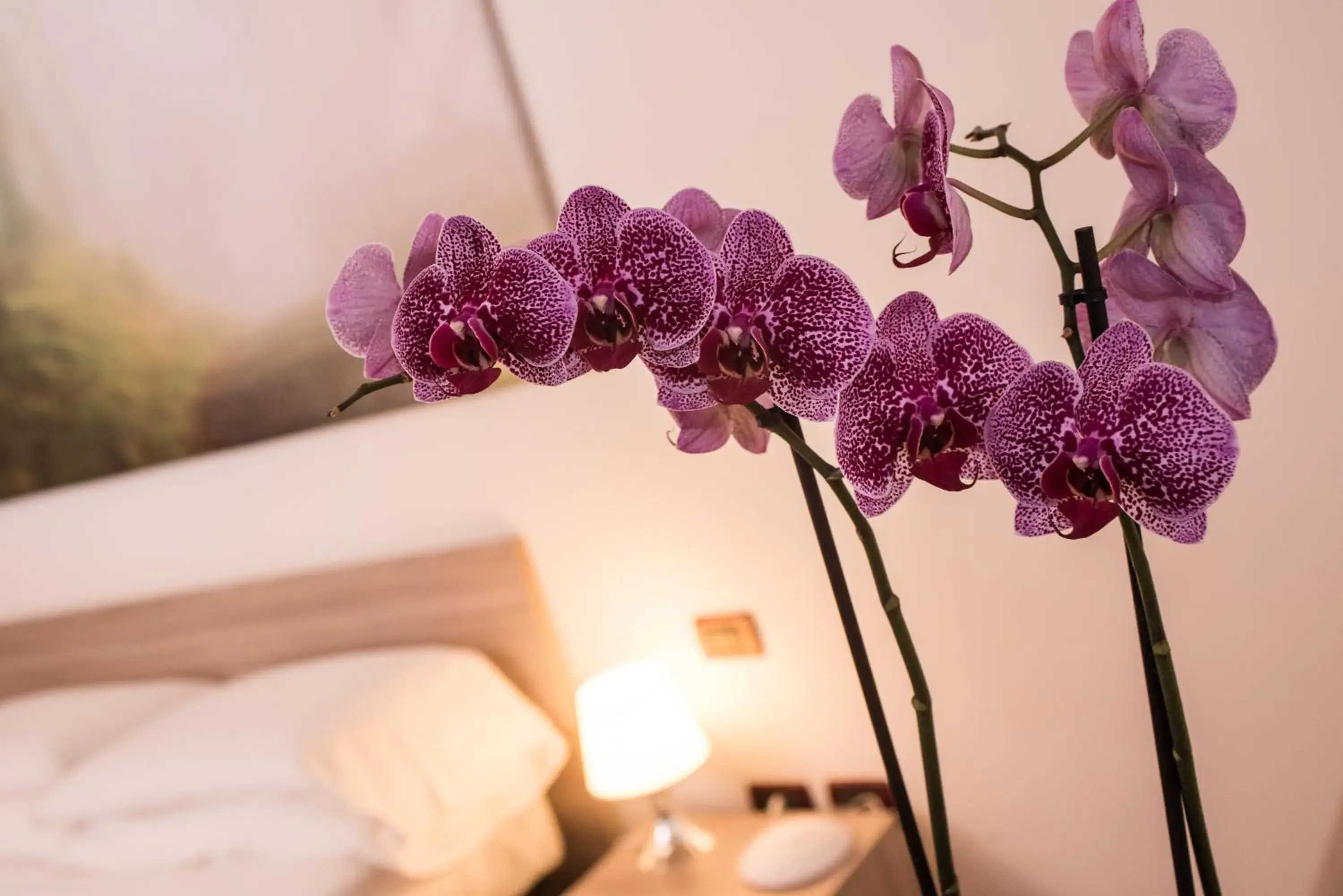 Decorative detail, Bed in Hotel Ala D'Oro