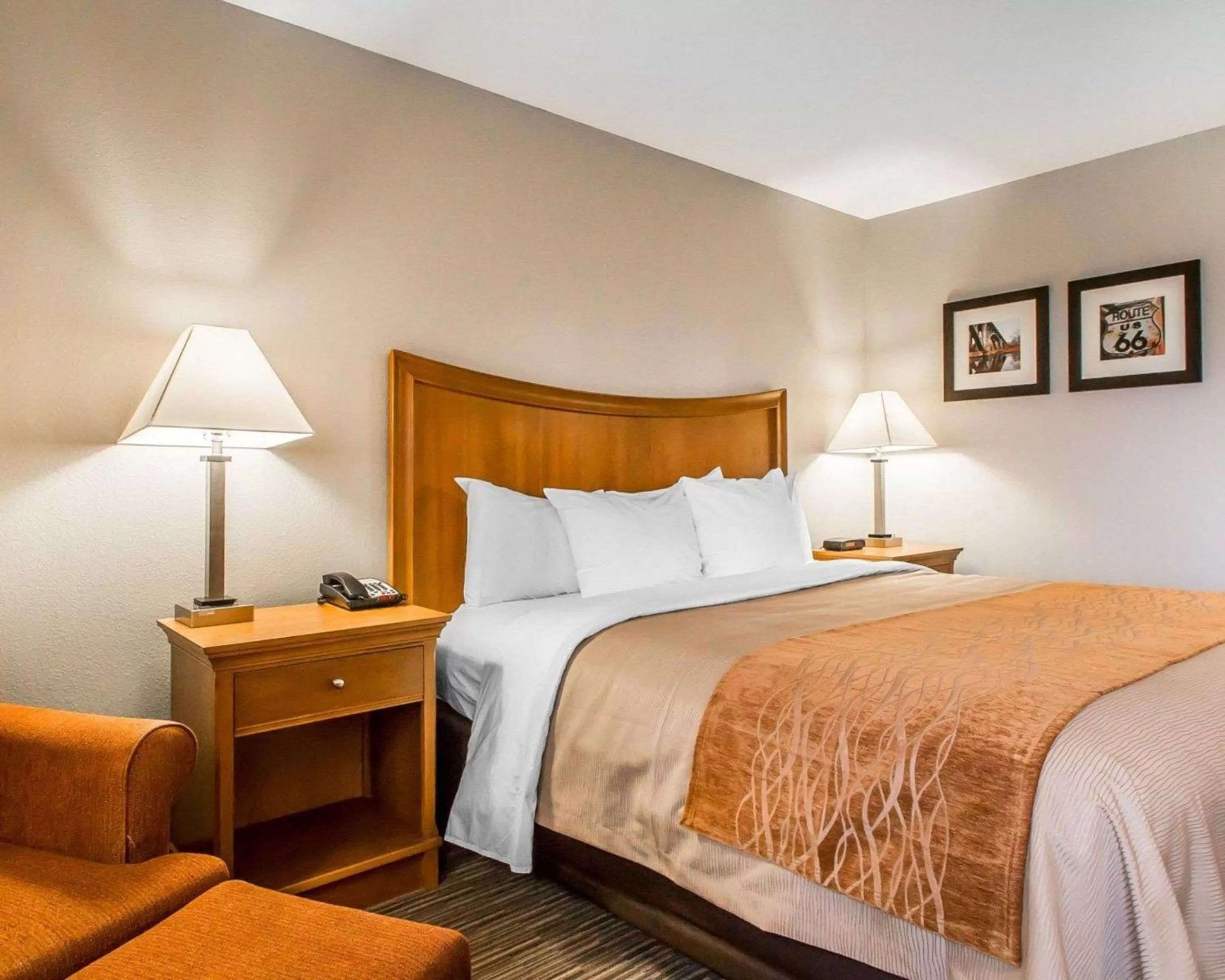 Standard King Room - Non-Smoking  in Comfort Inn South - Springfield