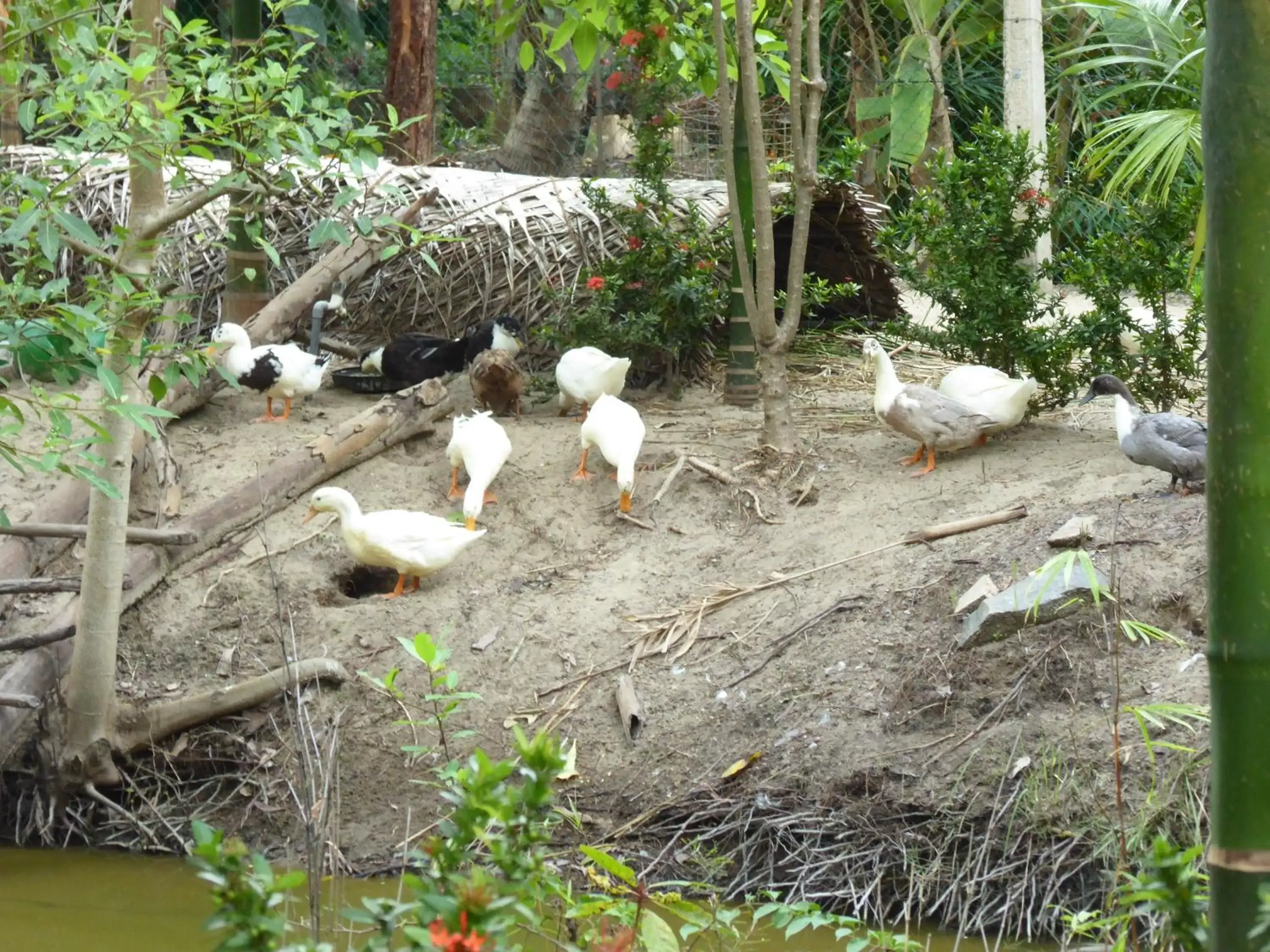 Property building in Riviera Resort Property building in Riviera Resort