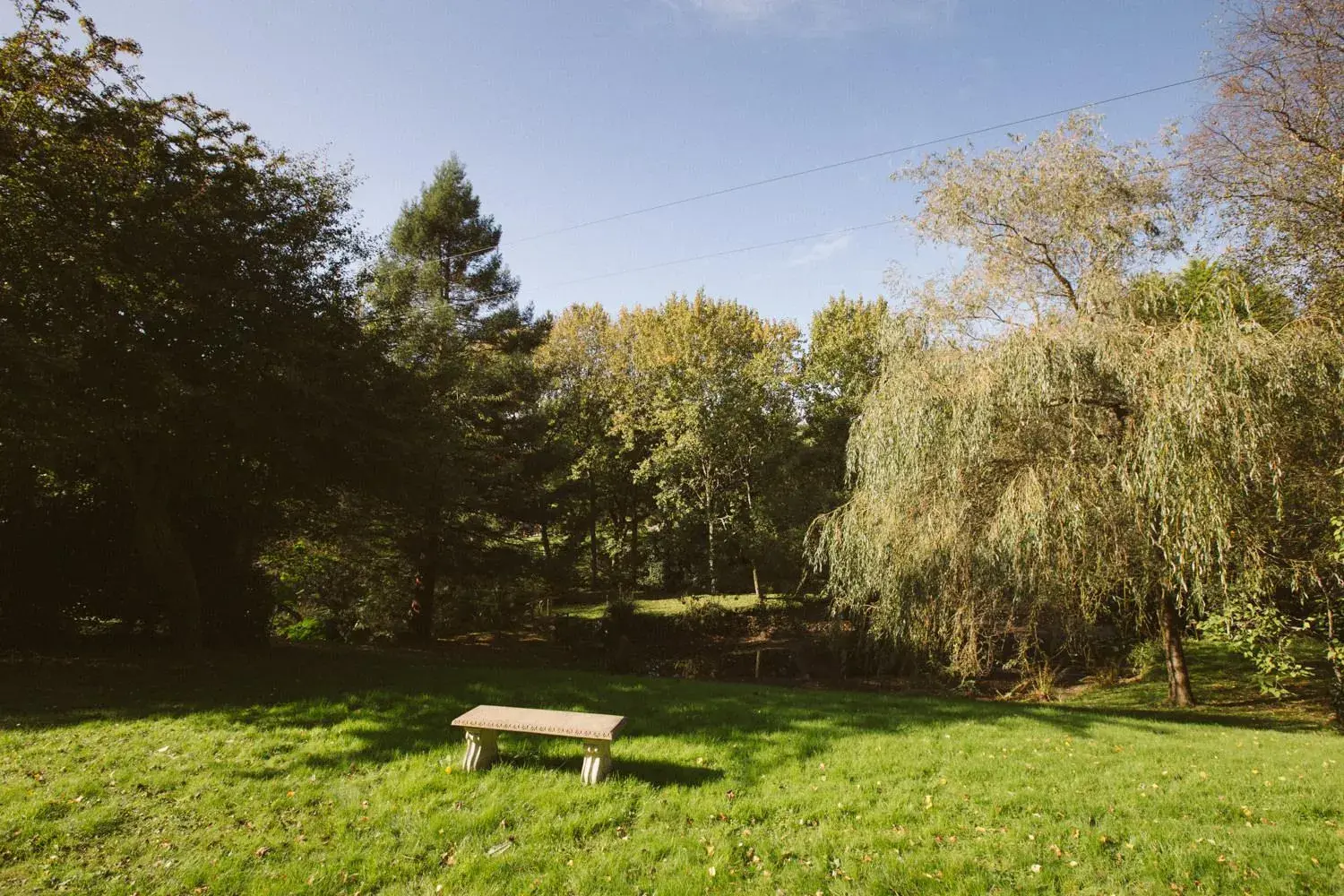 Garden in Chycara