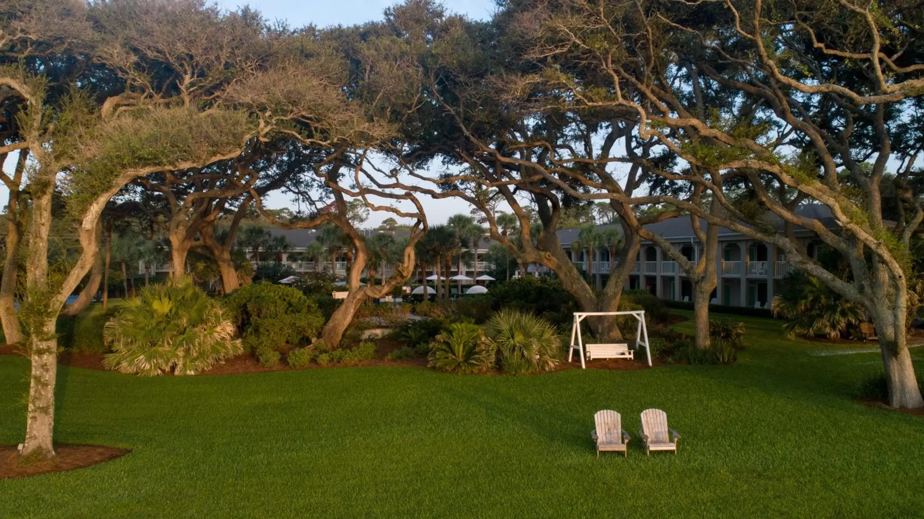 Natural landscape, Garden in Beachview Club Hotel