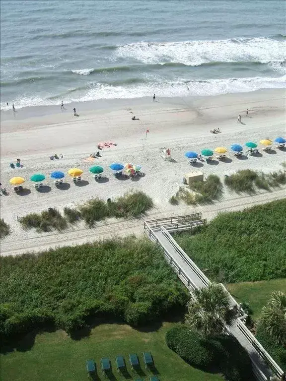 Beach, Bird's-eye View in Suites at the Beach