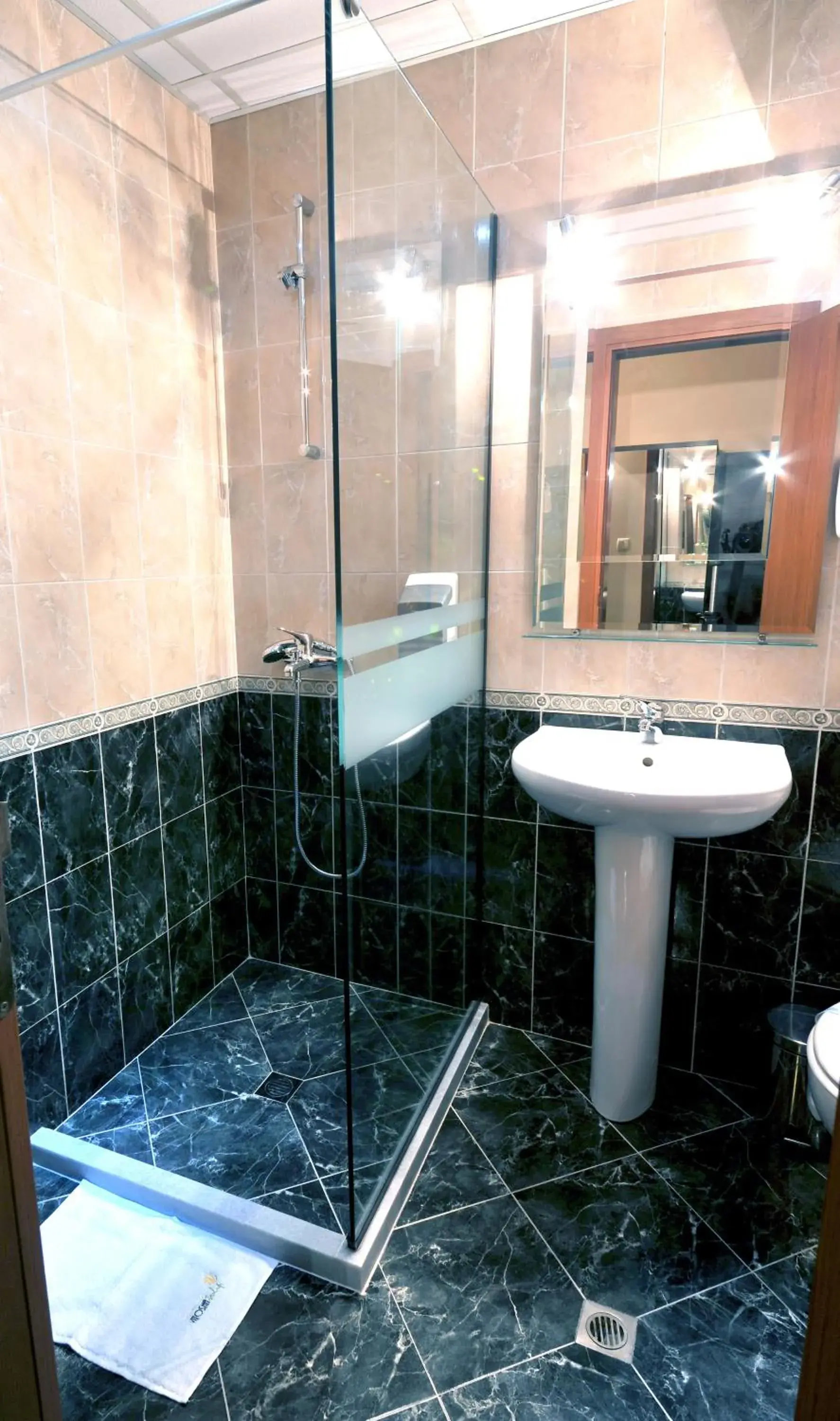 Bathroom in Vitoshko Lale Hotel