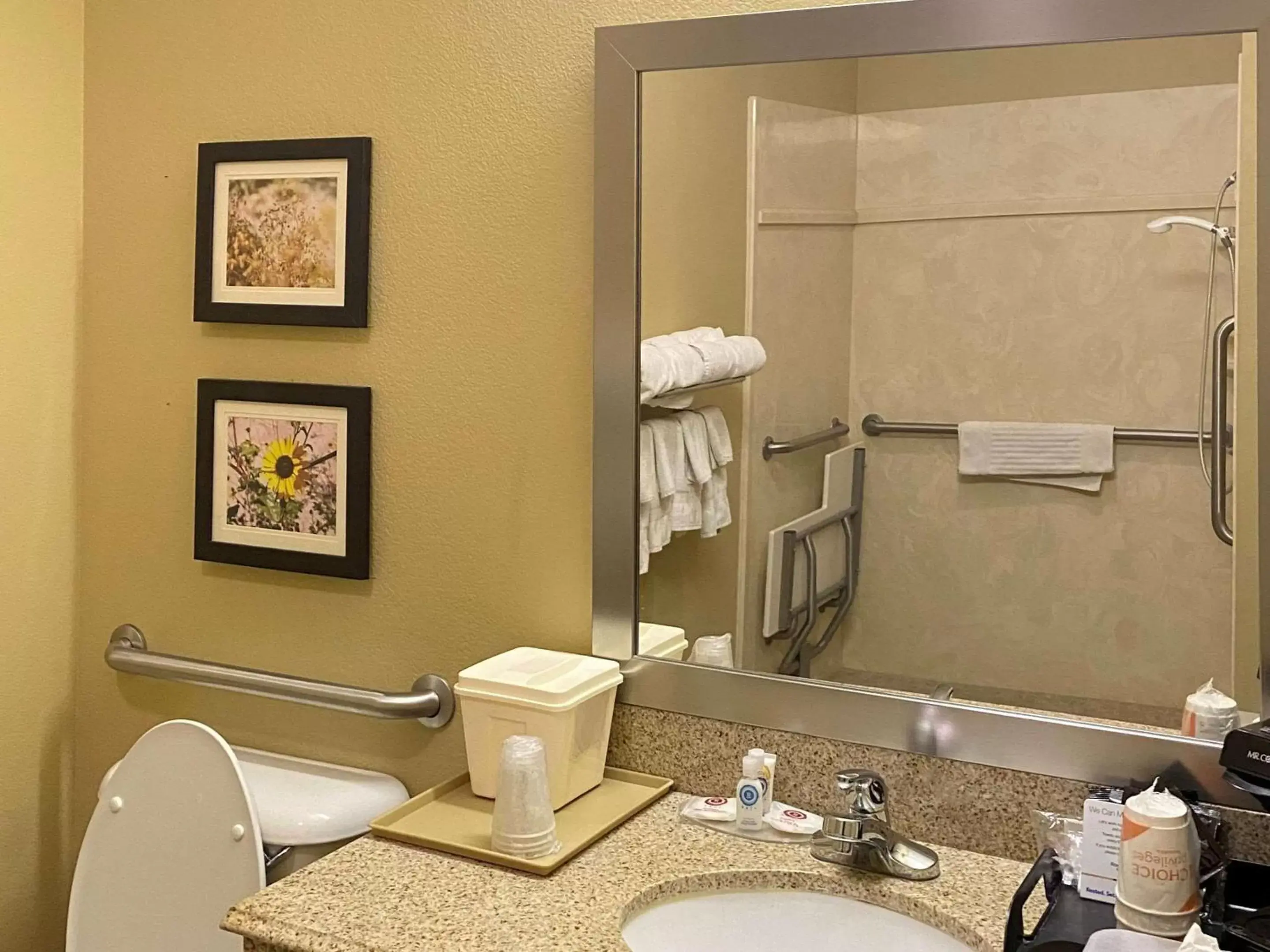 Bedroom, Bathroom in Comfort Inn & Suites Monahans I-20