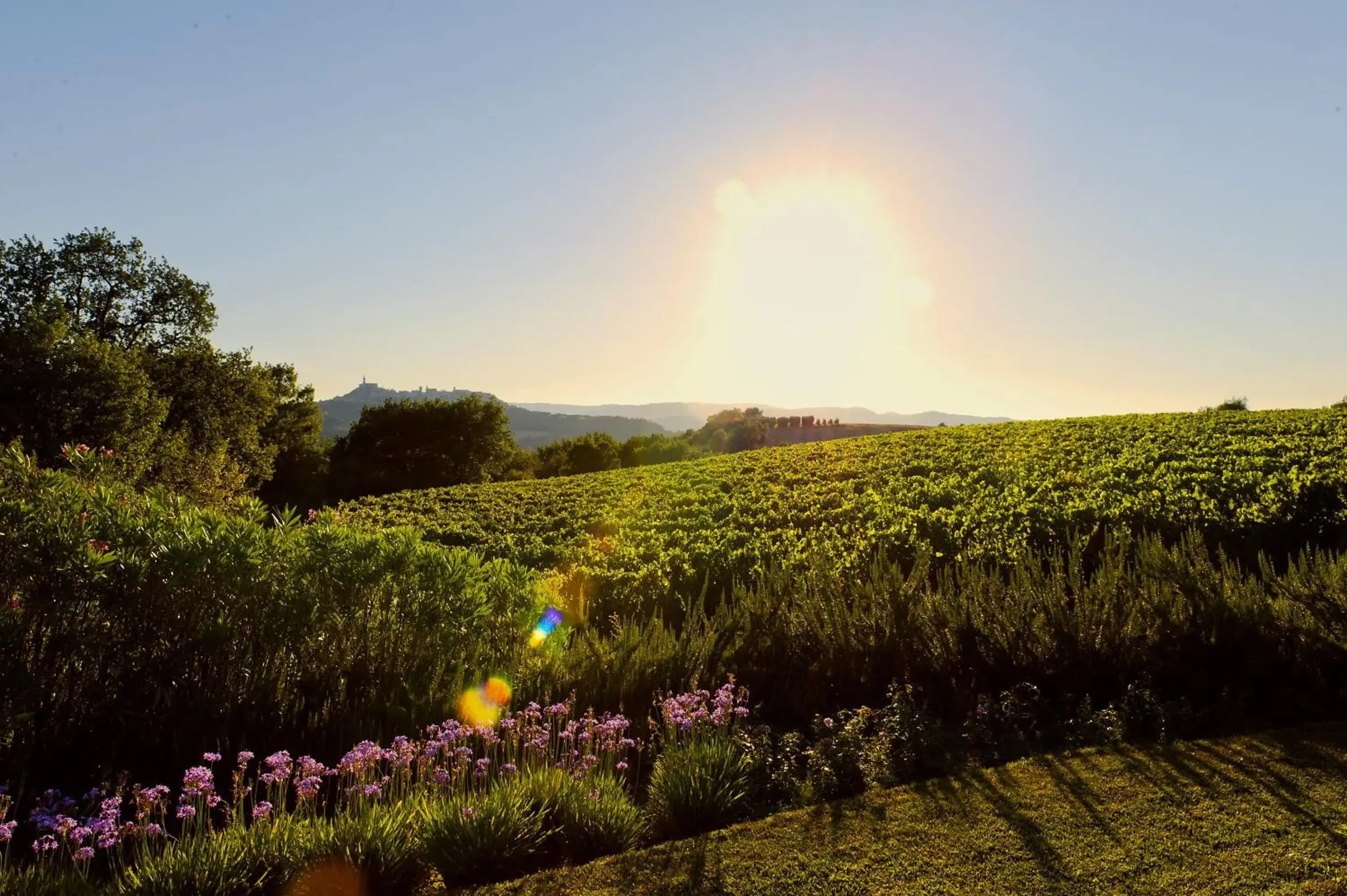 Garden in Roccafiore Spa & Resort