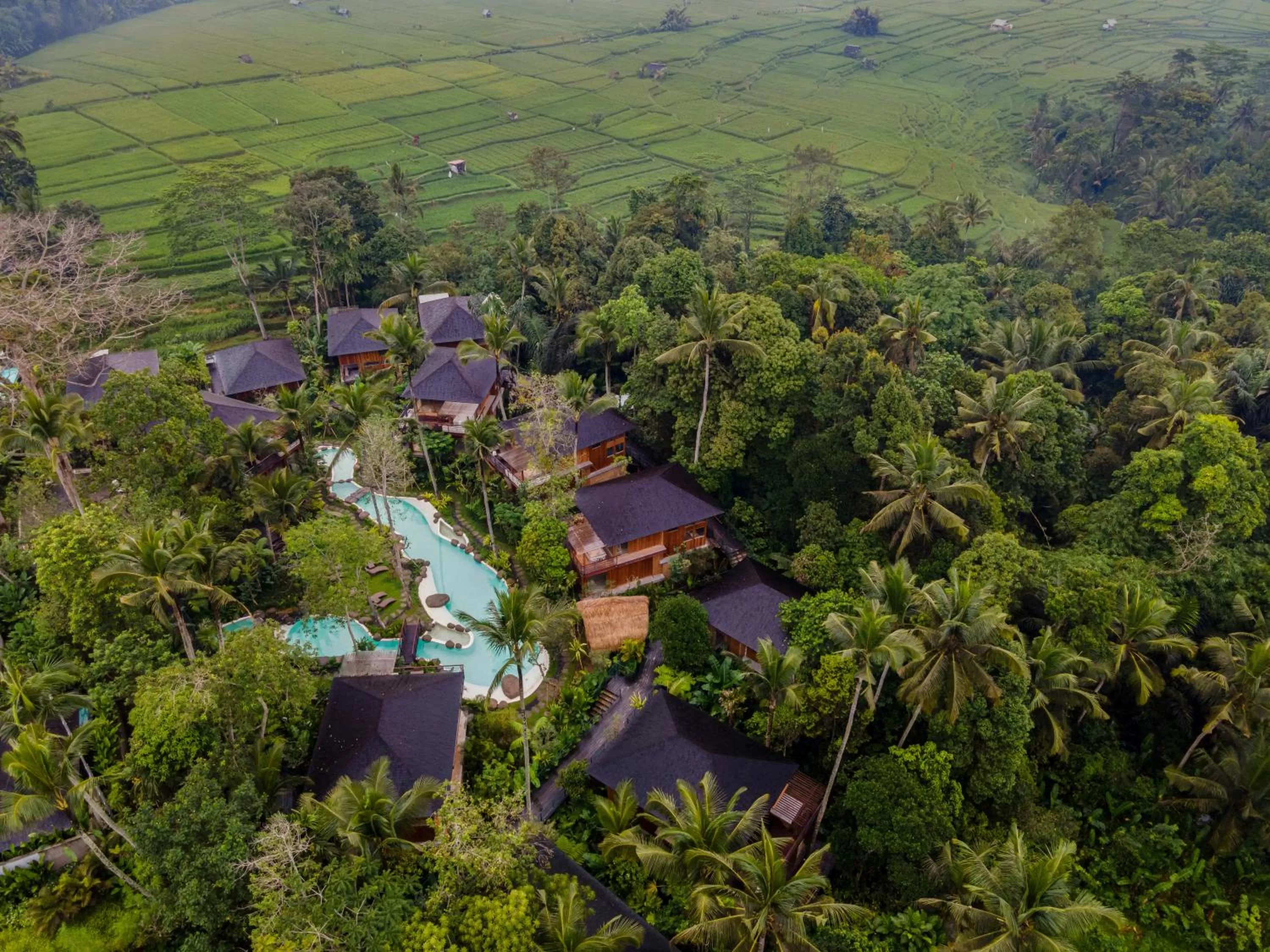 View (from property/room) in Kappa Senses Ubud
