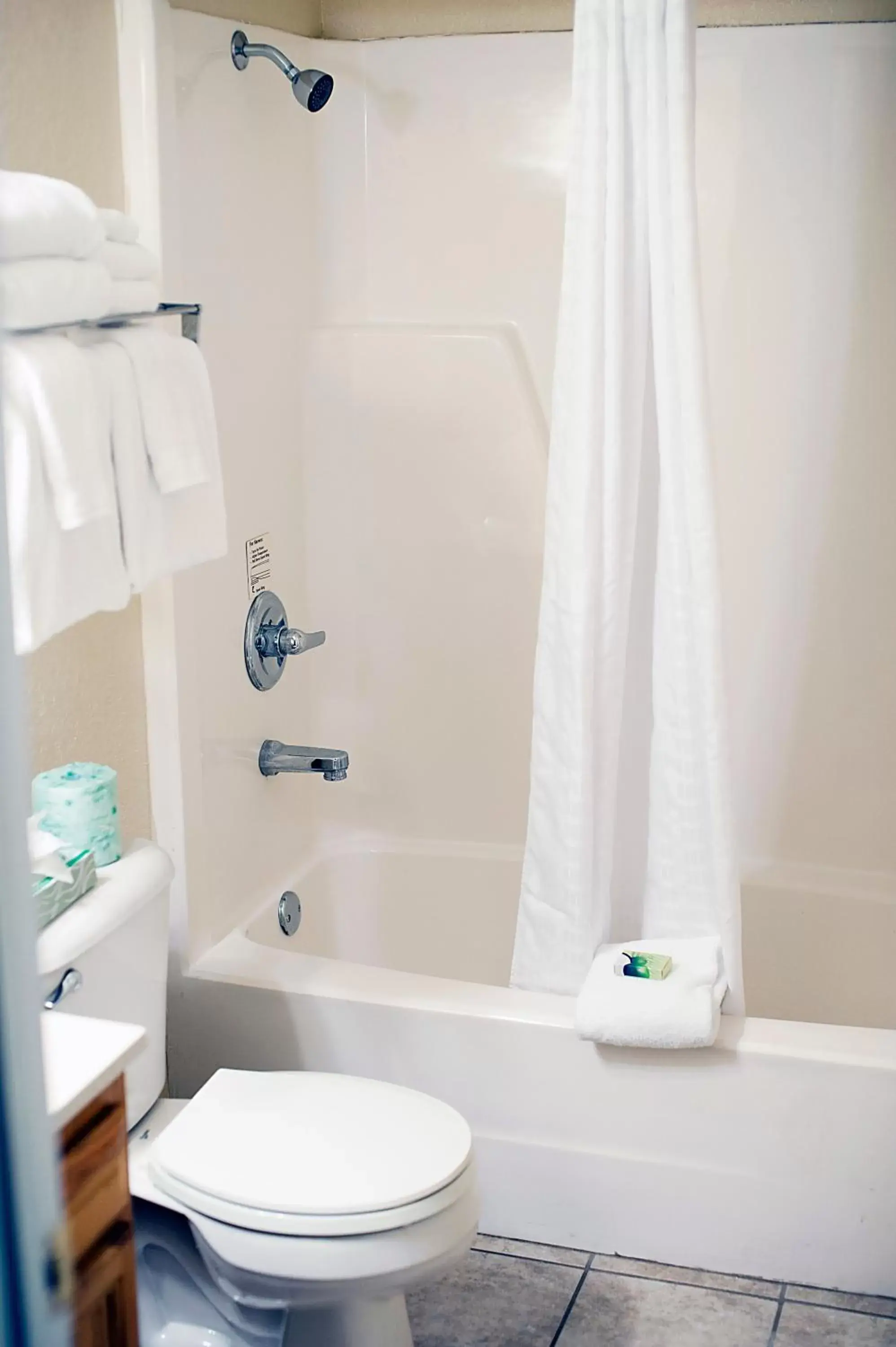 Toilet, Bathroom in Tremont Lodge & Resort