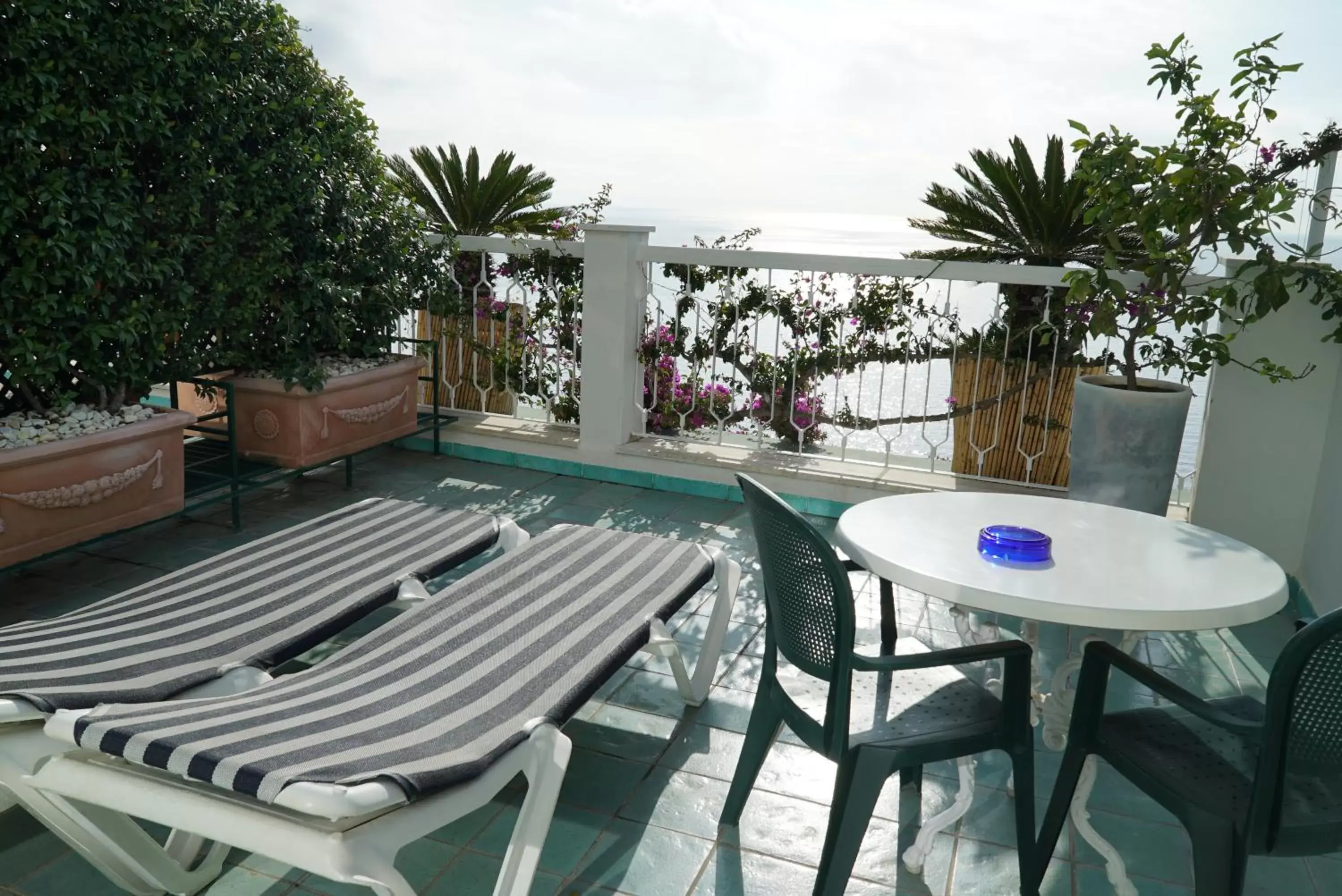 Swimming Pool in Hotel Bellevue Suite