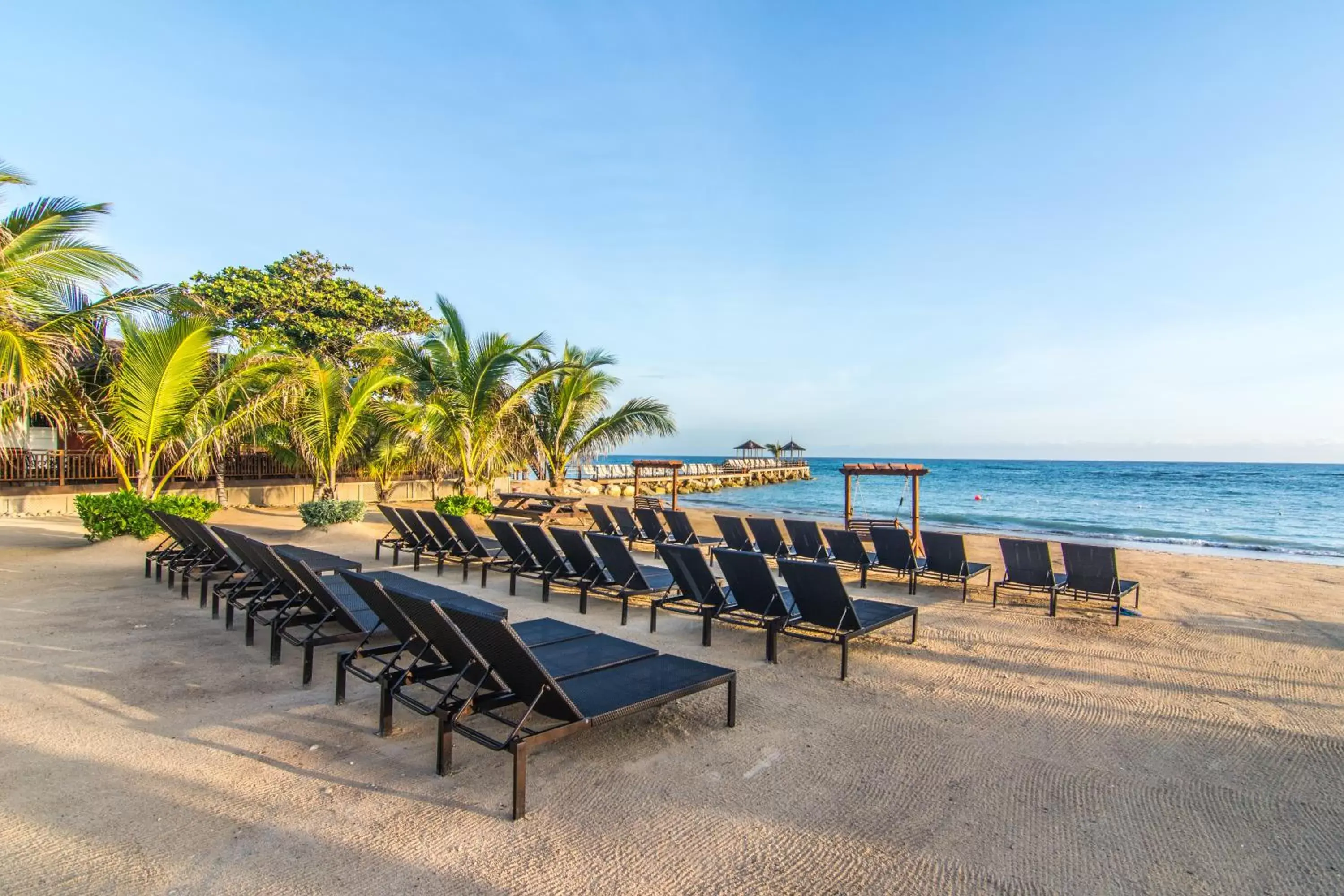 Beach in Hilton Rose Hall Resort & Spa