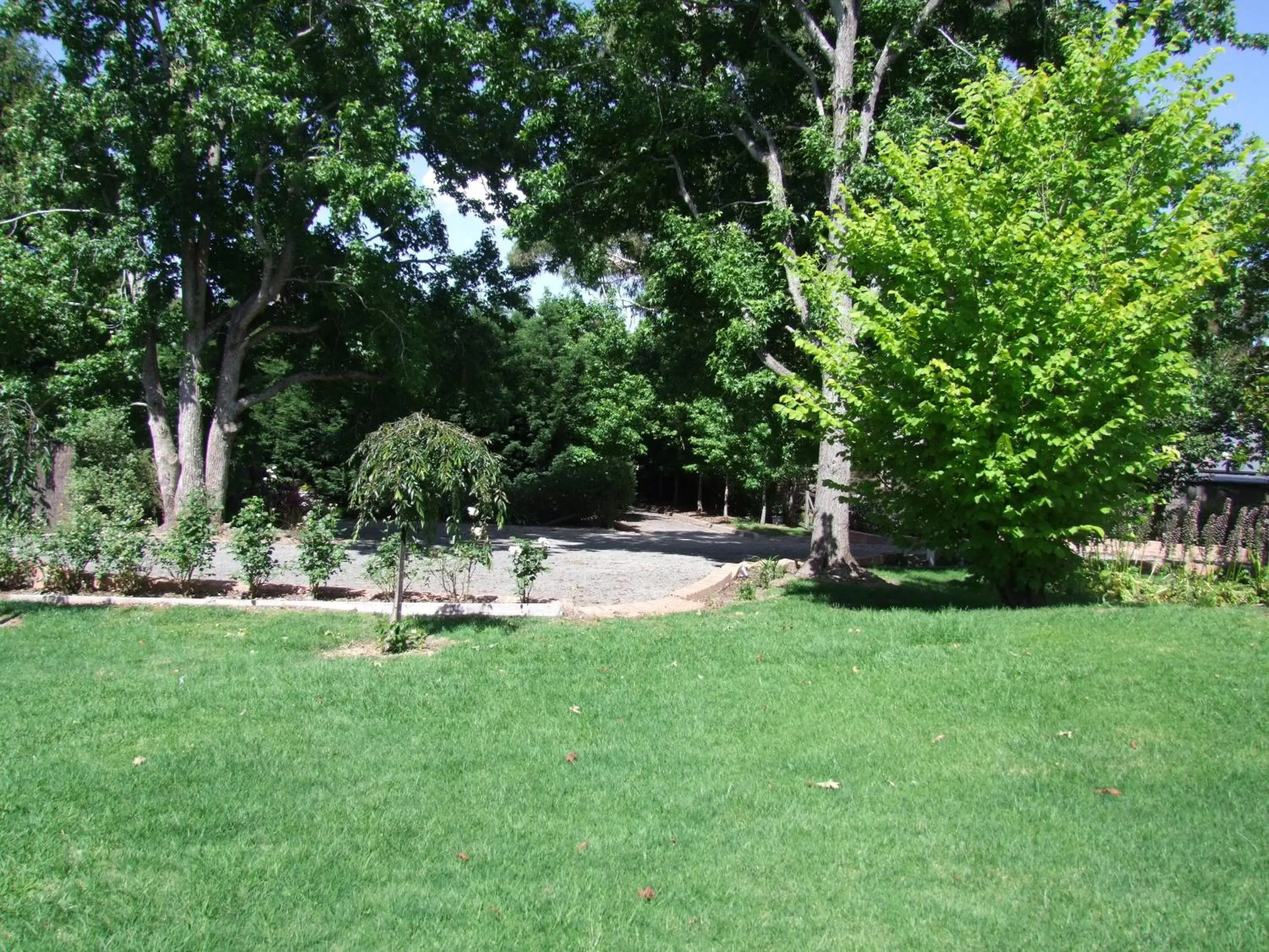 Garden in Bundanoon Lodge