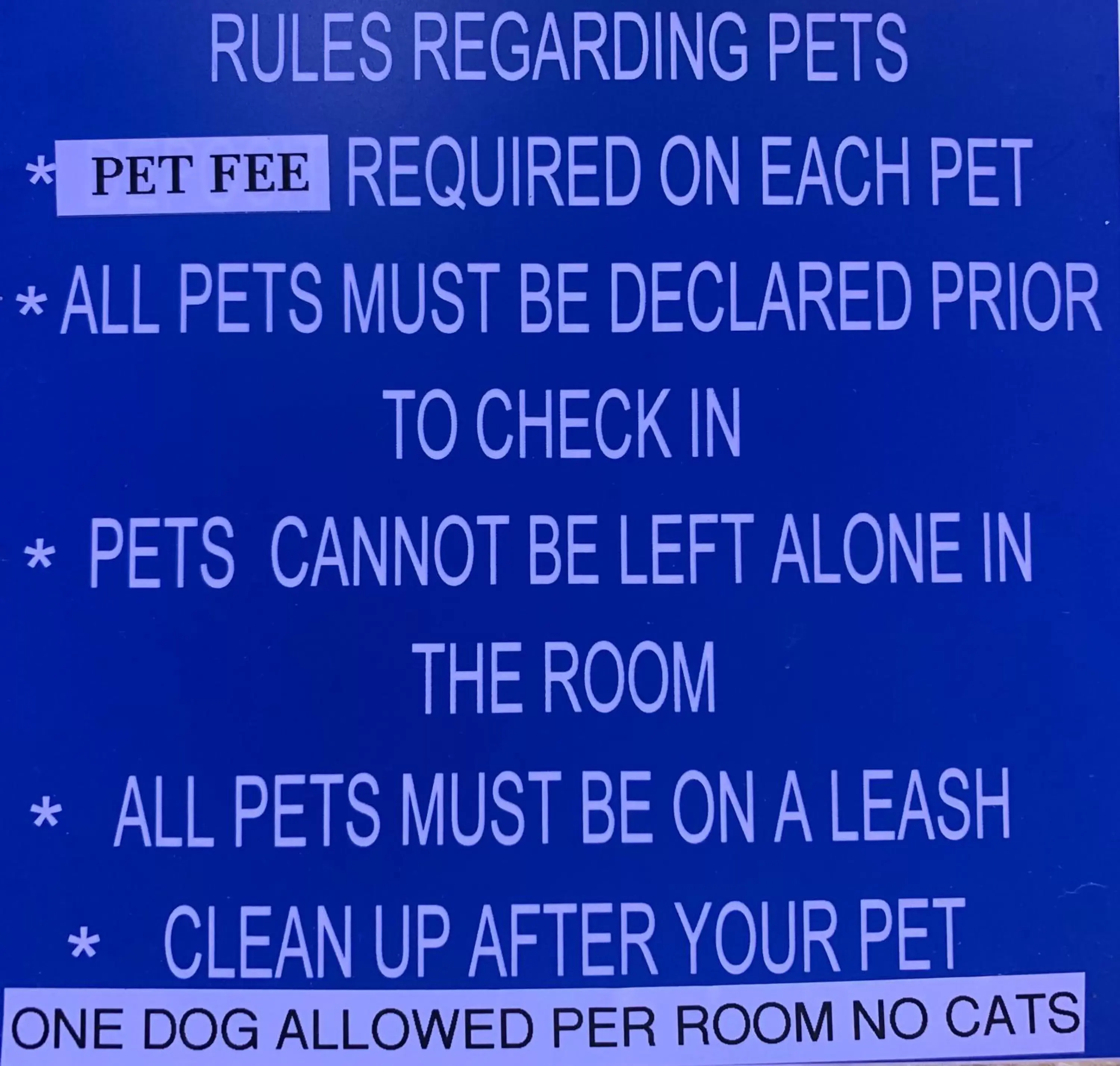 Pets in Windsor Inn Lake Havasu City