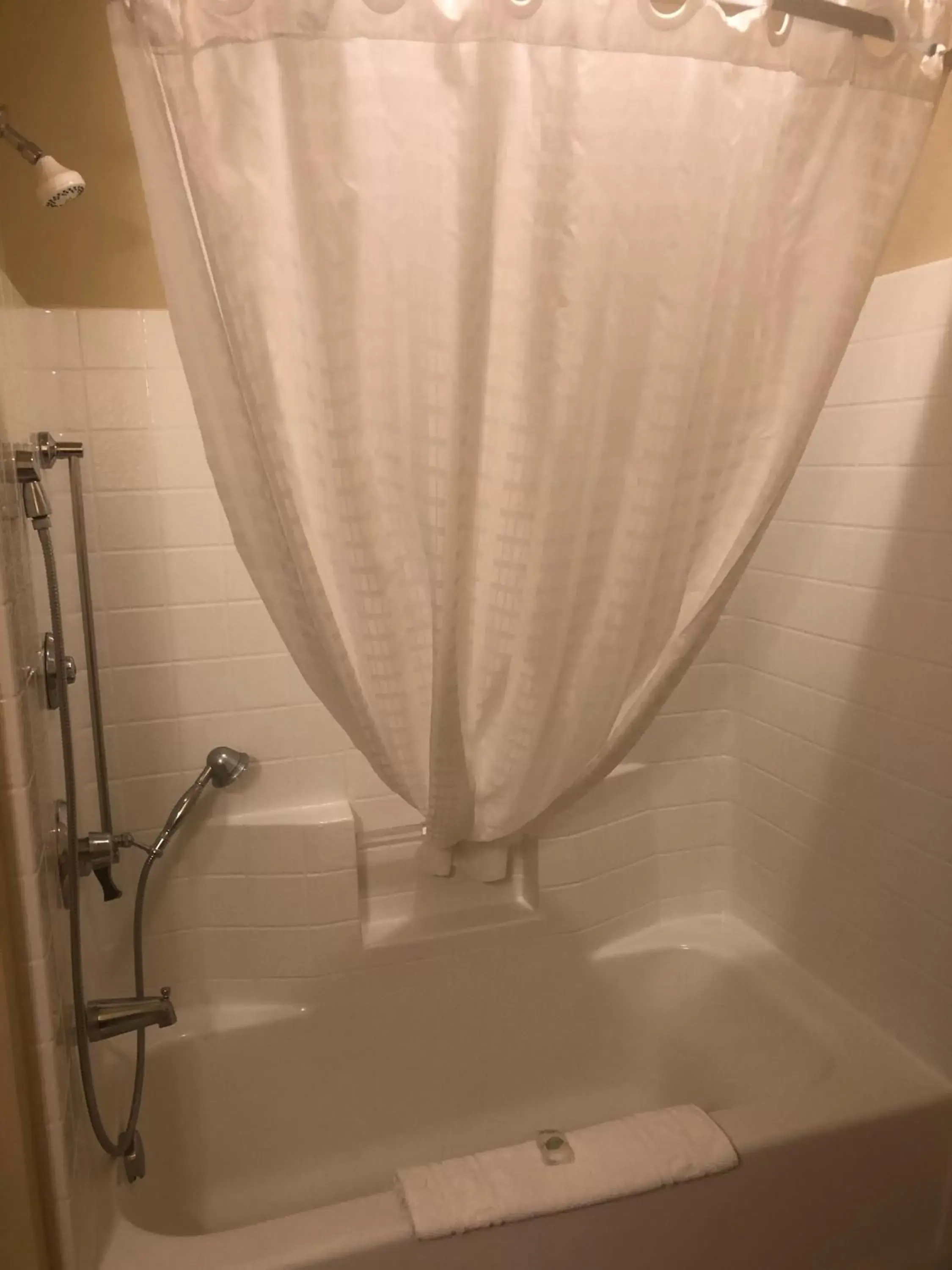 Shower, Bathroom in Cobblestone Inn & Suites - Eads