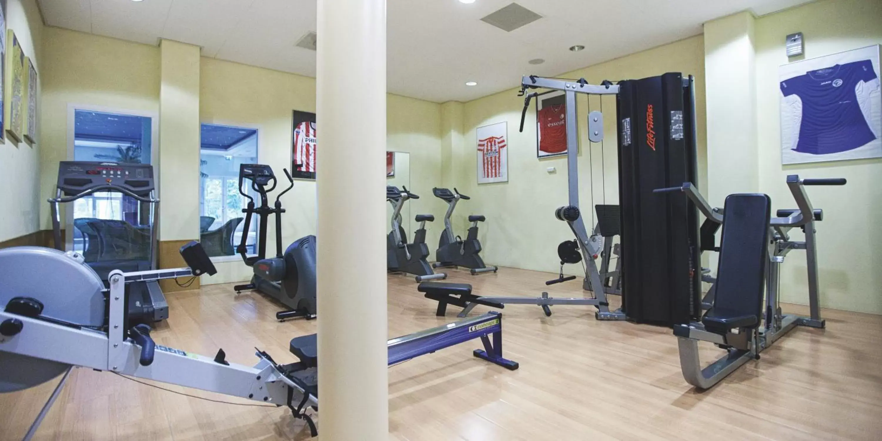 Other, Fitness Center/Facilities in Fletcher Familiehotel Paterswolde