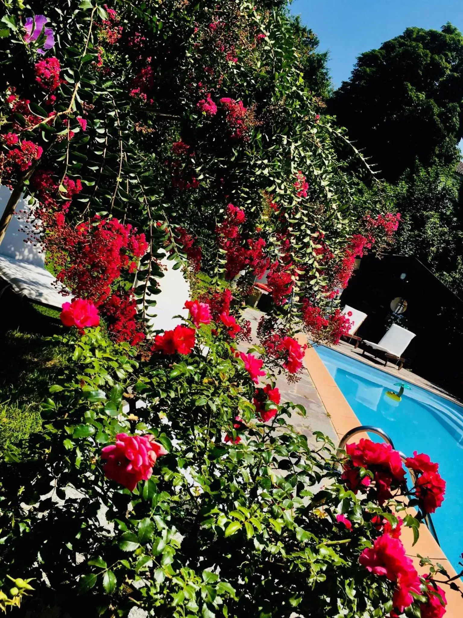 Pool View in B&B La Villarella dei Tulipani