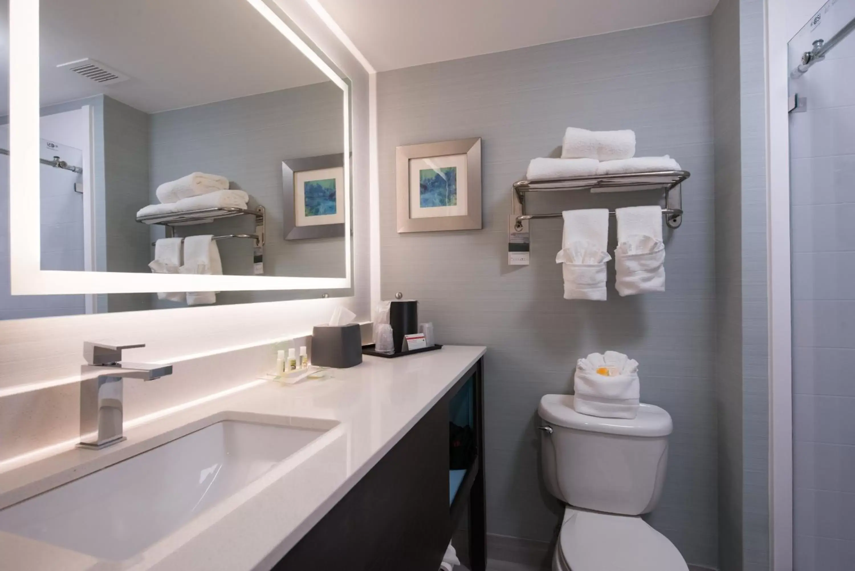 Photo of the whole room, Bathroom in Holiday Inn - Belcamp - Aberdeen Area, an IHG Hotel