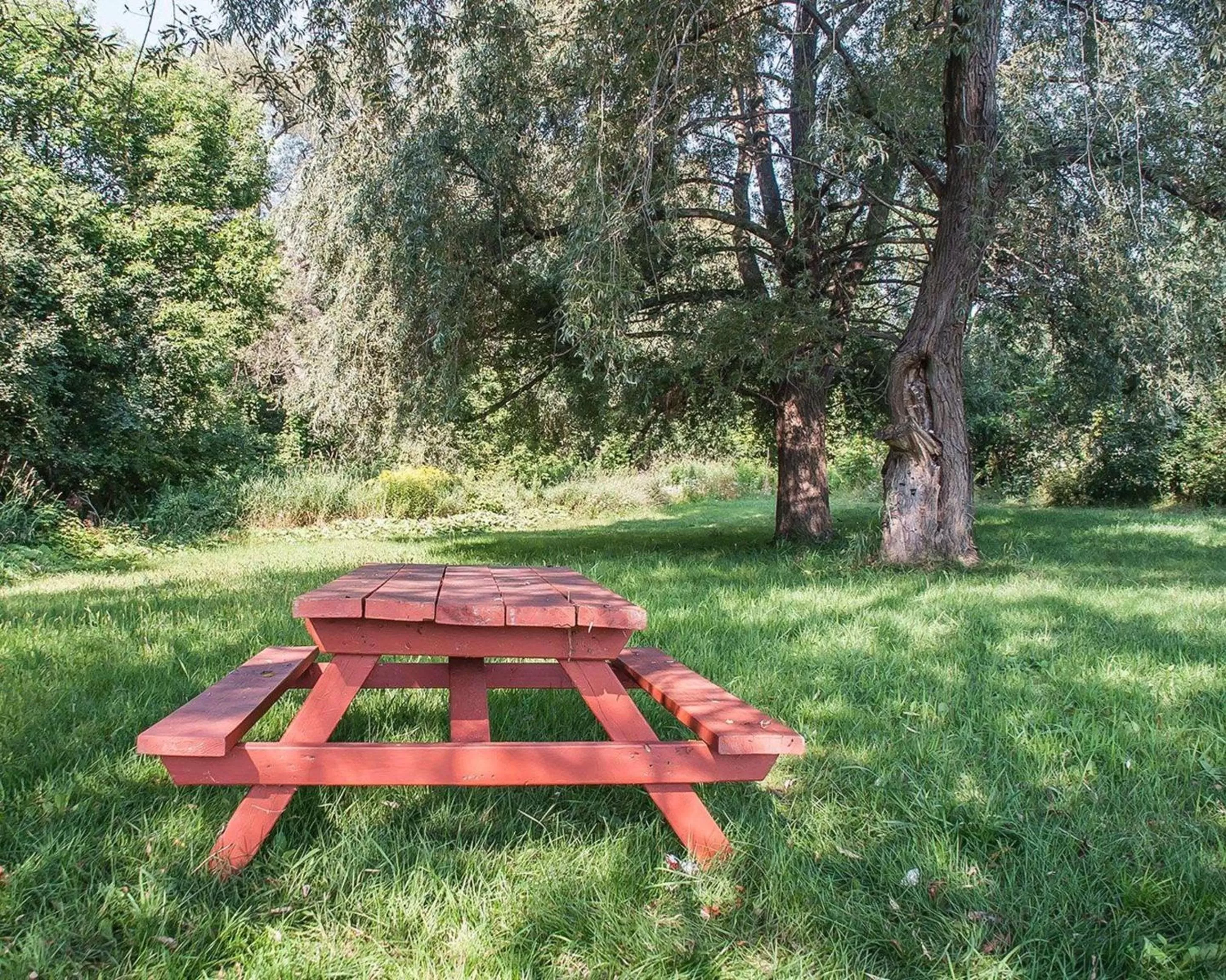 Other in Comfort Inn