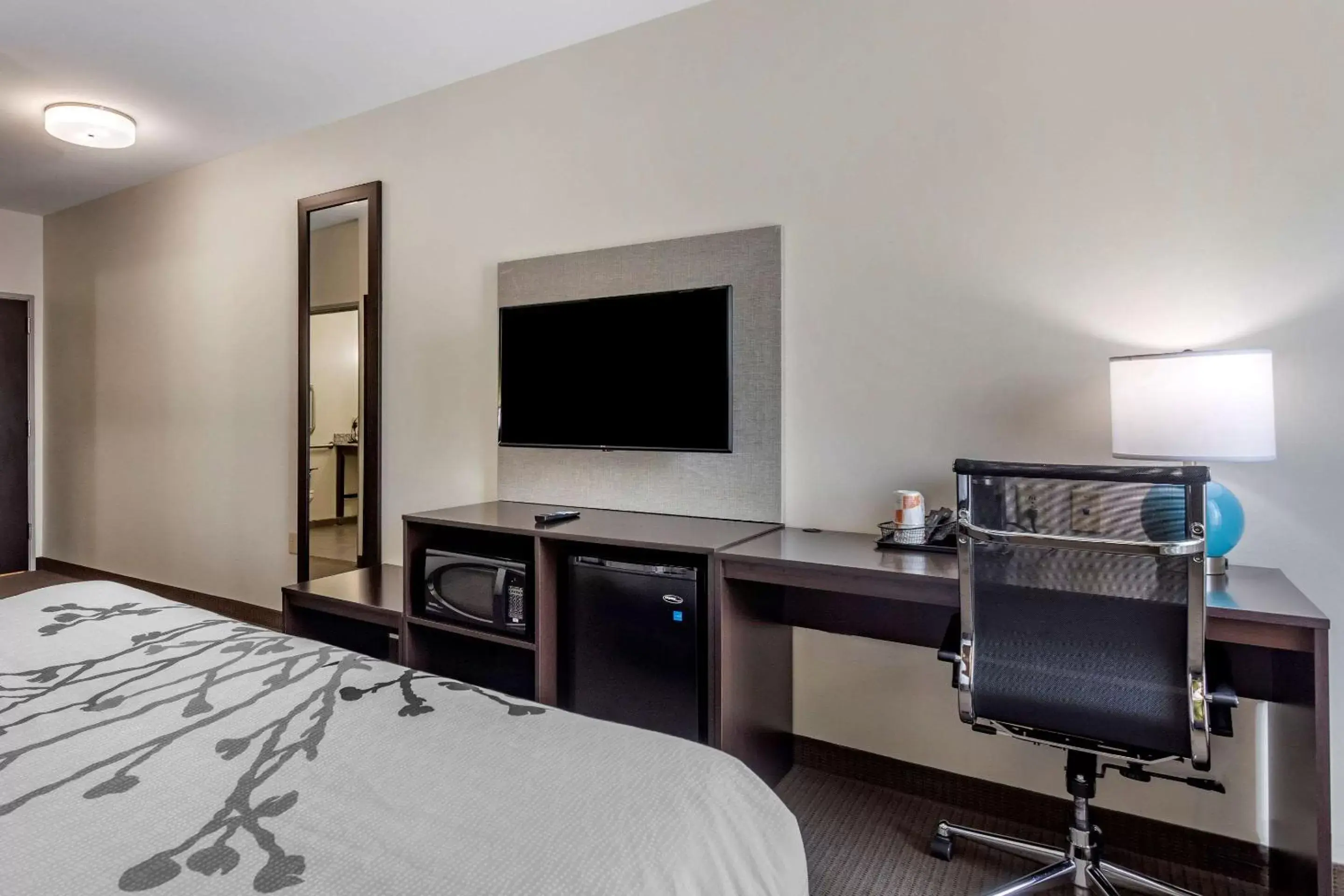 TV and multimedia, TV/Entertainment Center in Sleep Inn