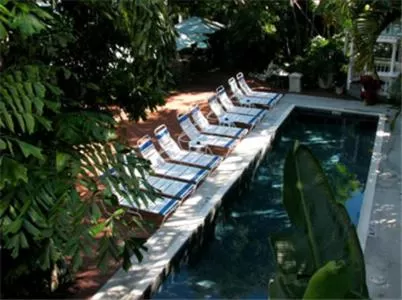 Swimming pool in Ambrosia Key West