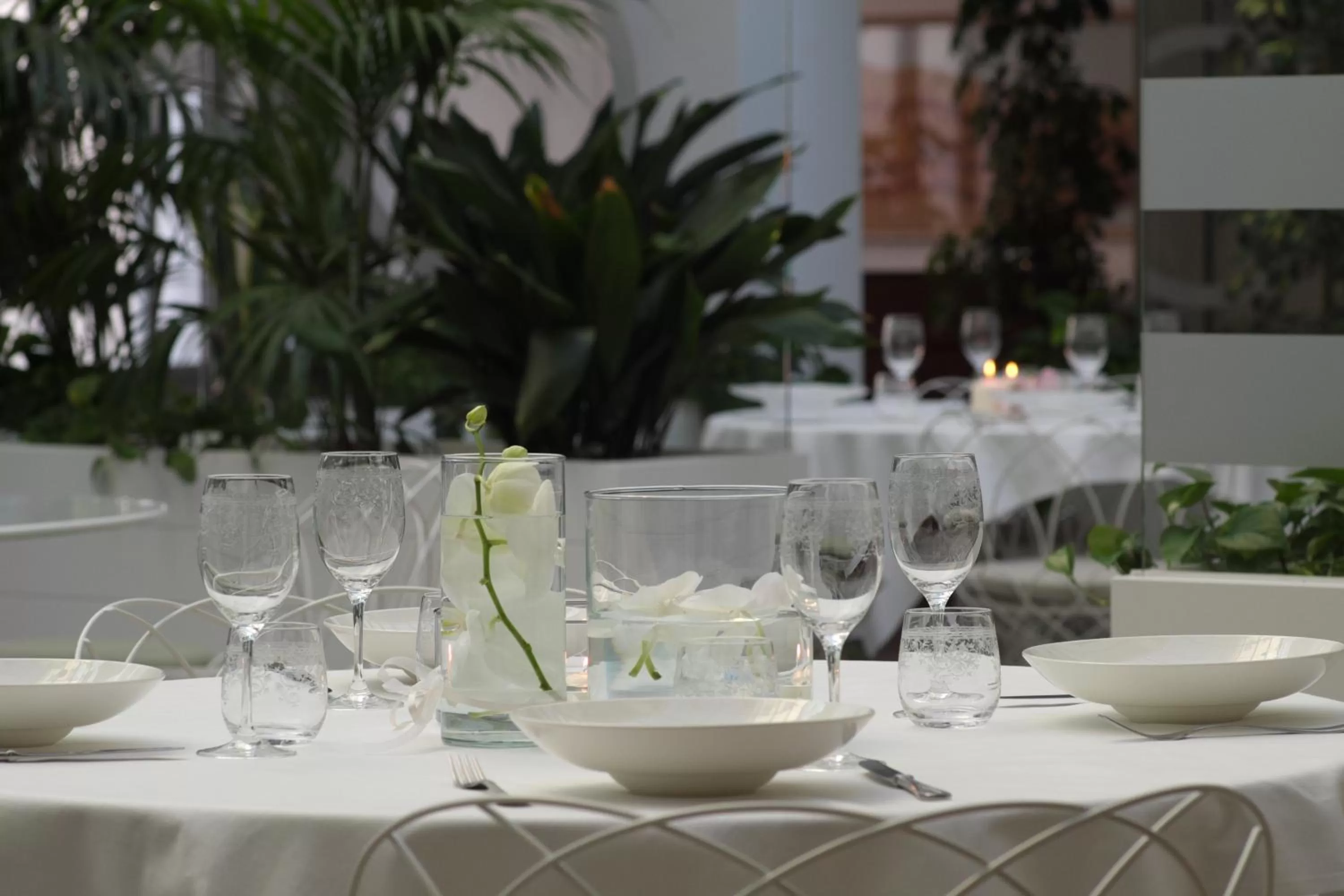 Restaurant/places to eat in Hotel Monteverde