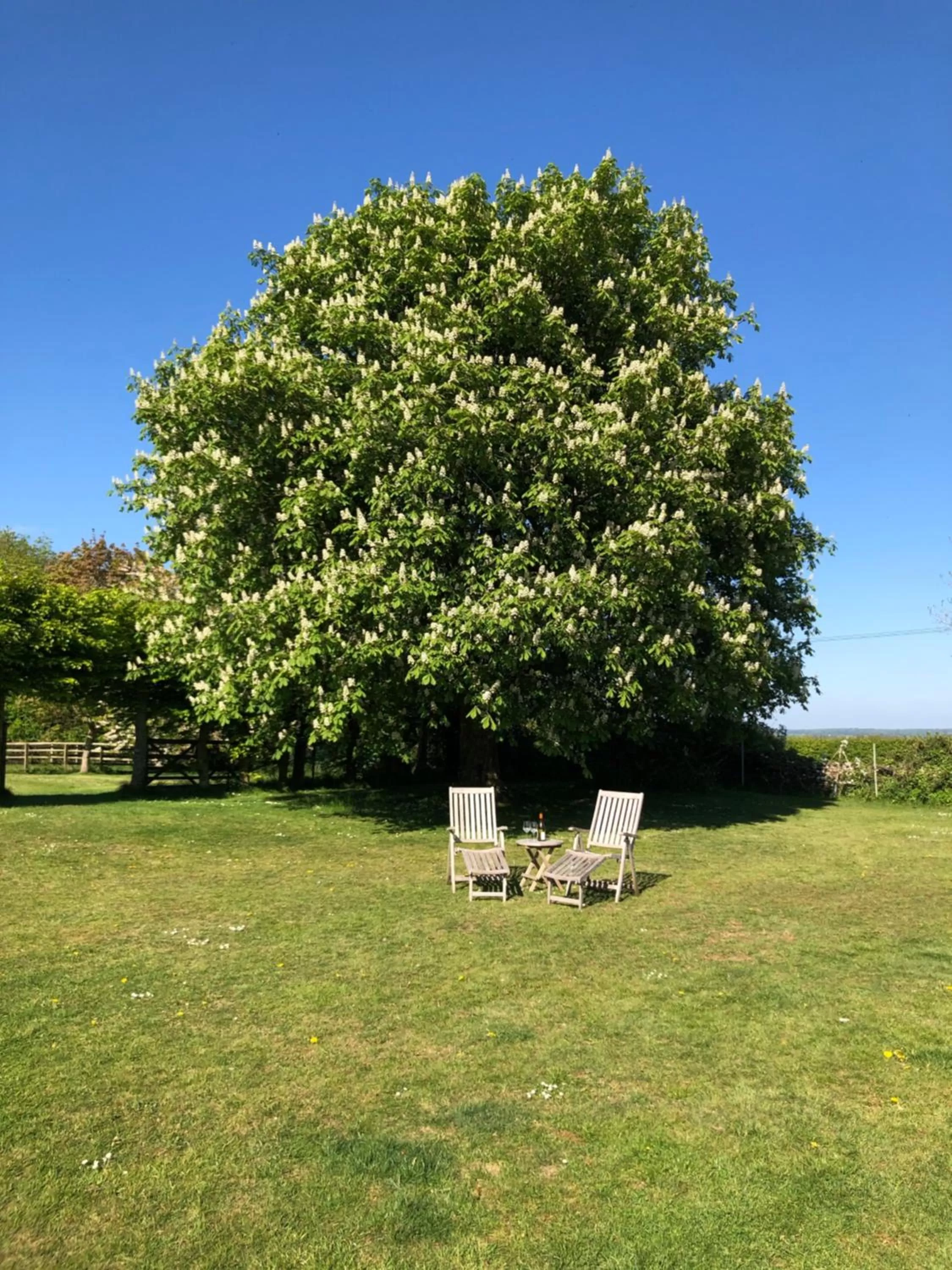 Garden in The Old School, Idbury, OX7 6RU