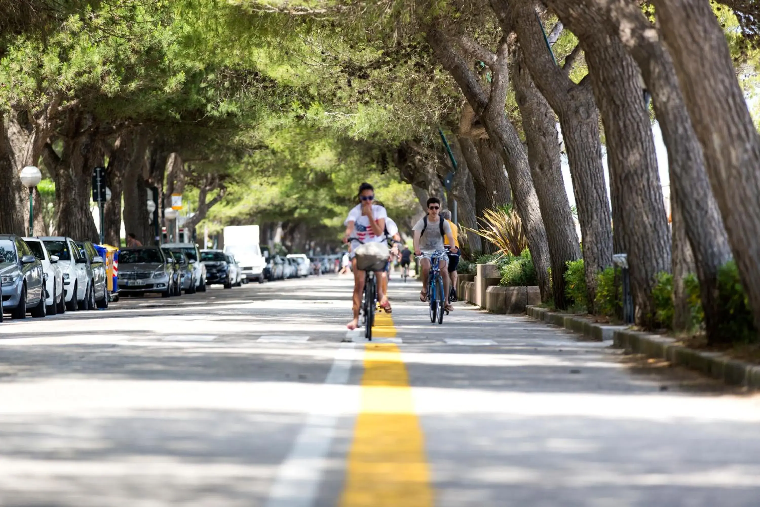 Cycling in Hotel Trieste Mare