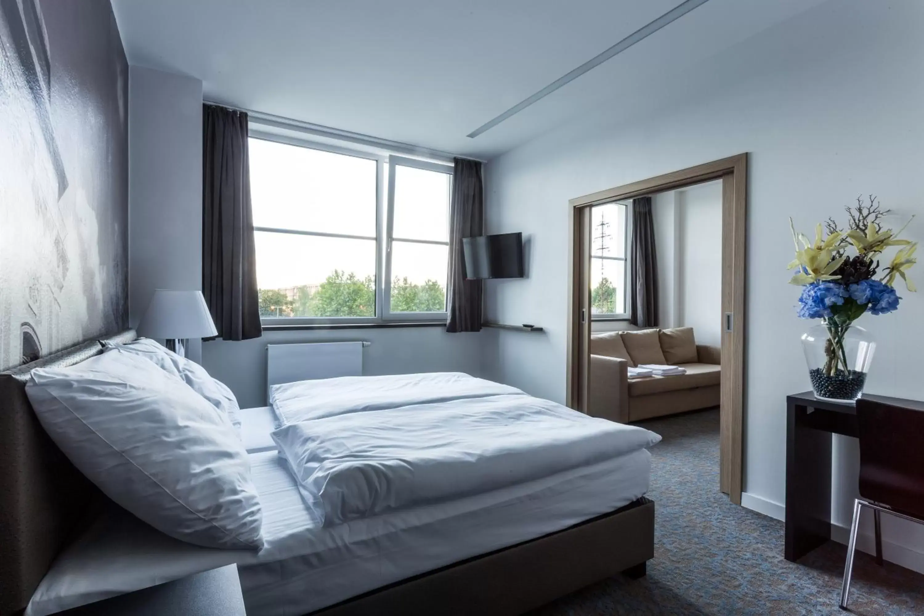 Superior Double or Twin Room - single occupancy in Hotel Bílý Páv Superior Double or Twin Room - single occupancy in Hotel Bílý Páv