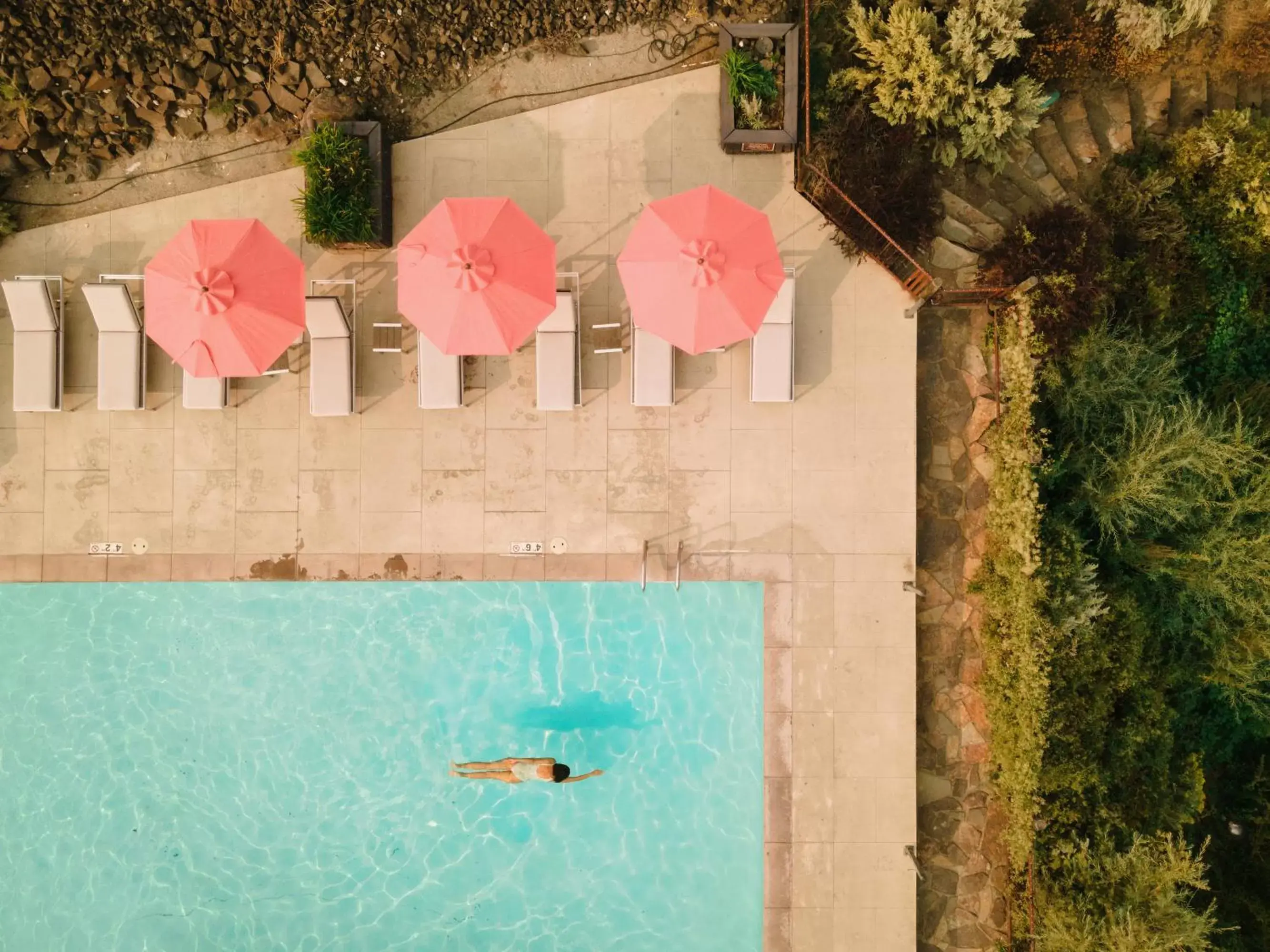 Day, Pool View in Sagecliffe Resort & Spa