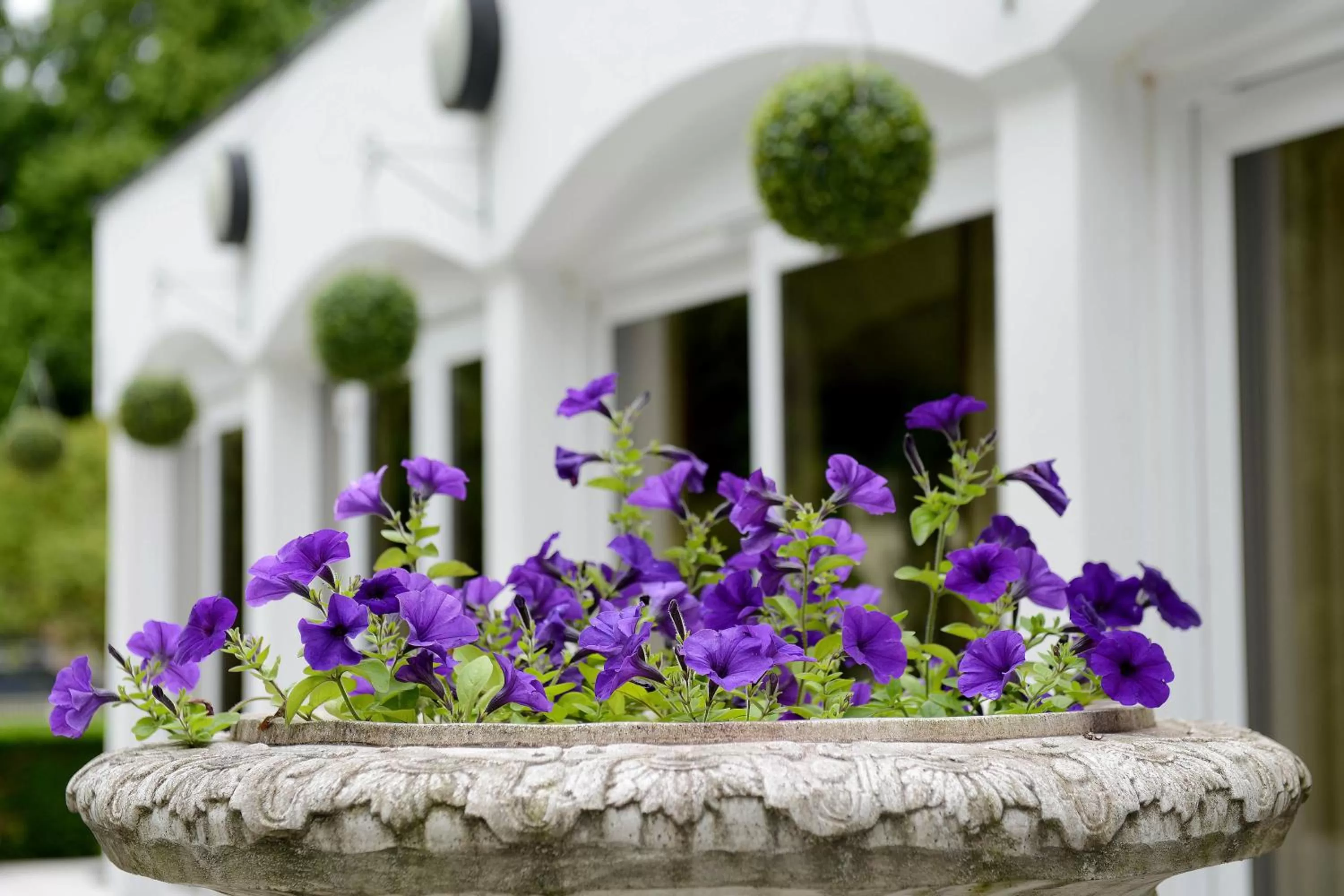 Property building in Buckatree Hall Hotel
