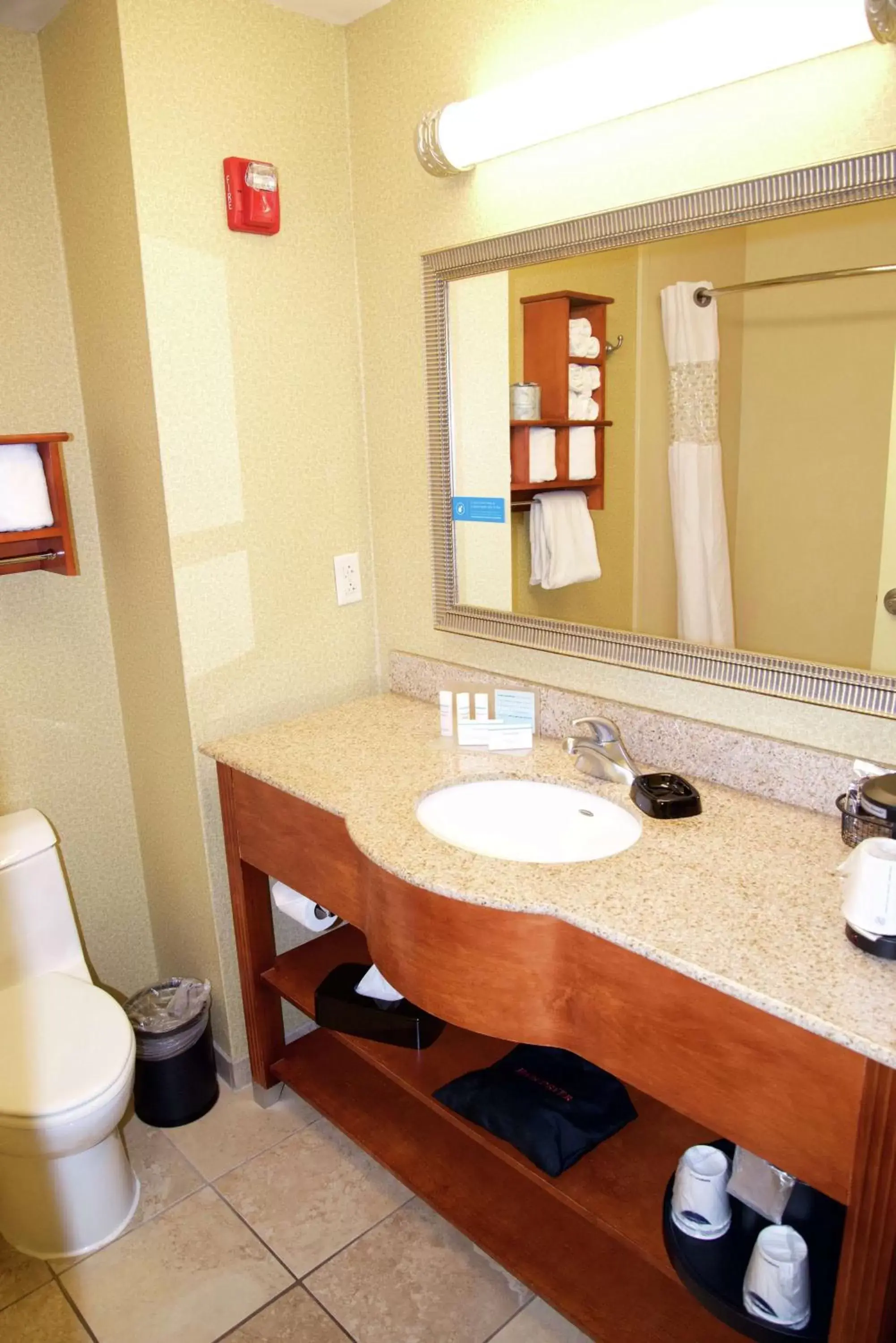 Bathroom in Hampton Inn & Suites Moline-Quad City Int'l Aprt