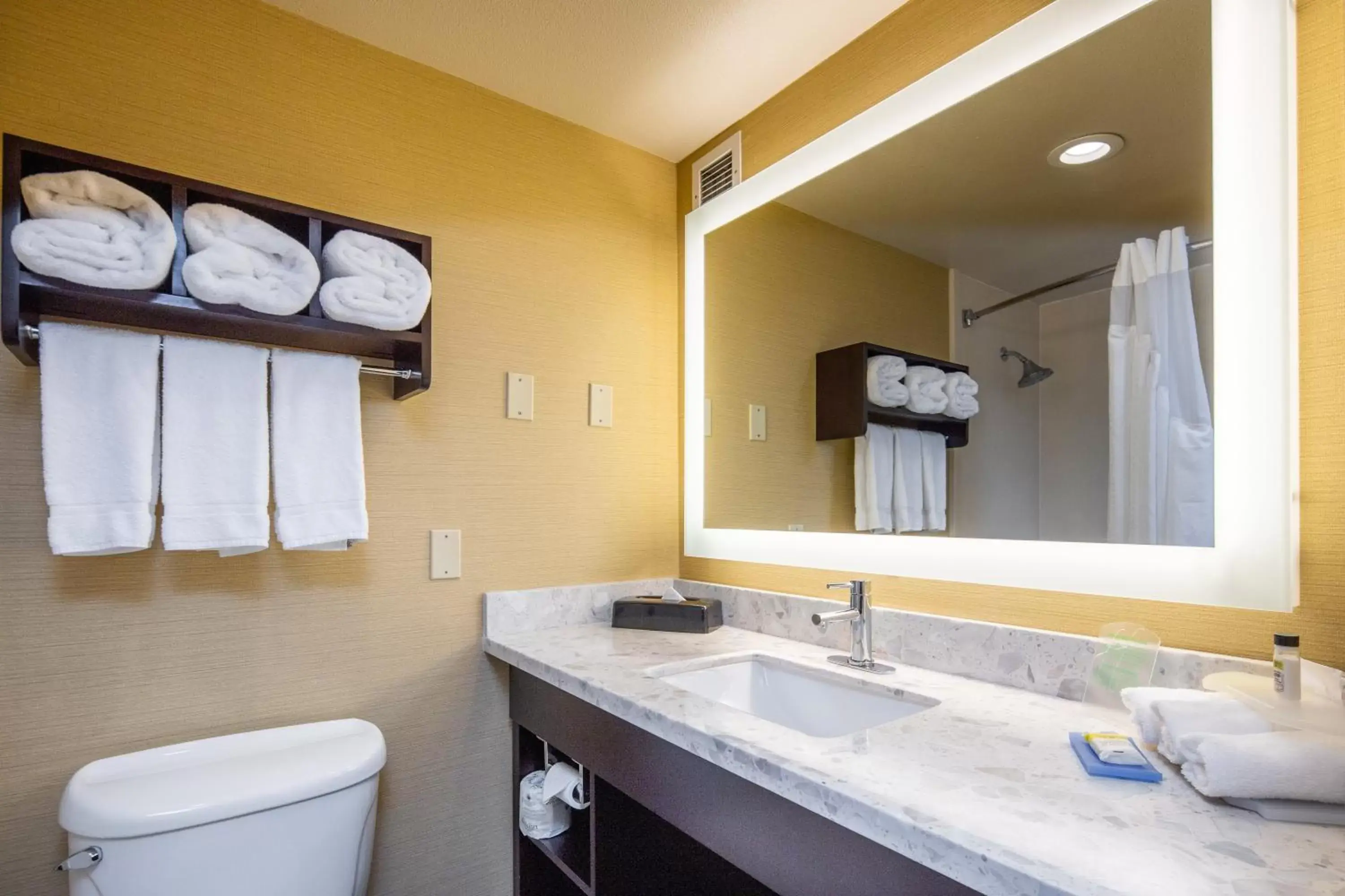 Bathroom in Holiday Inn Express Castro Valley, an IHG Hotel