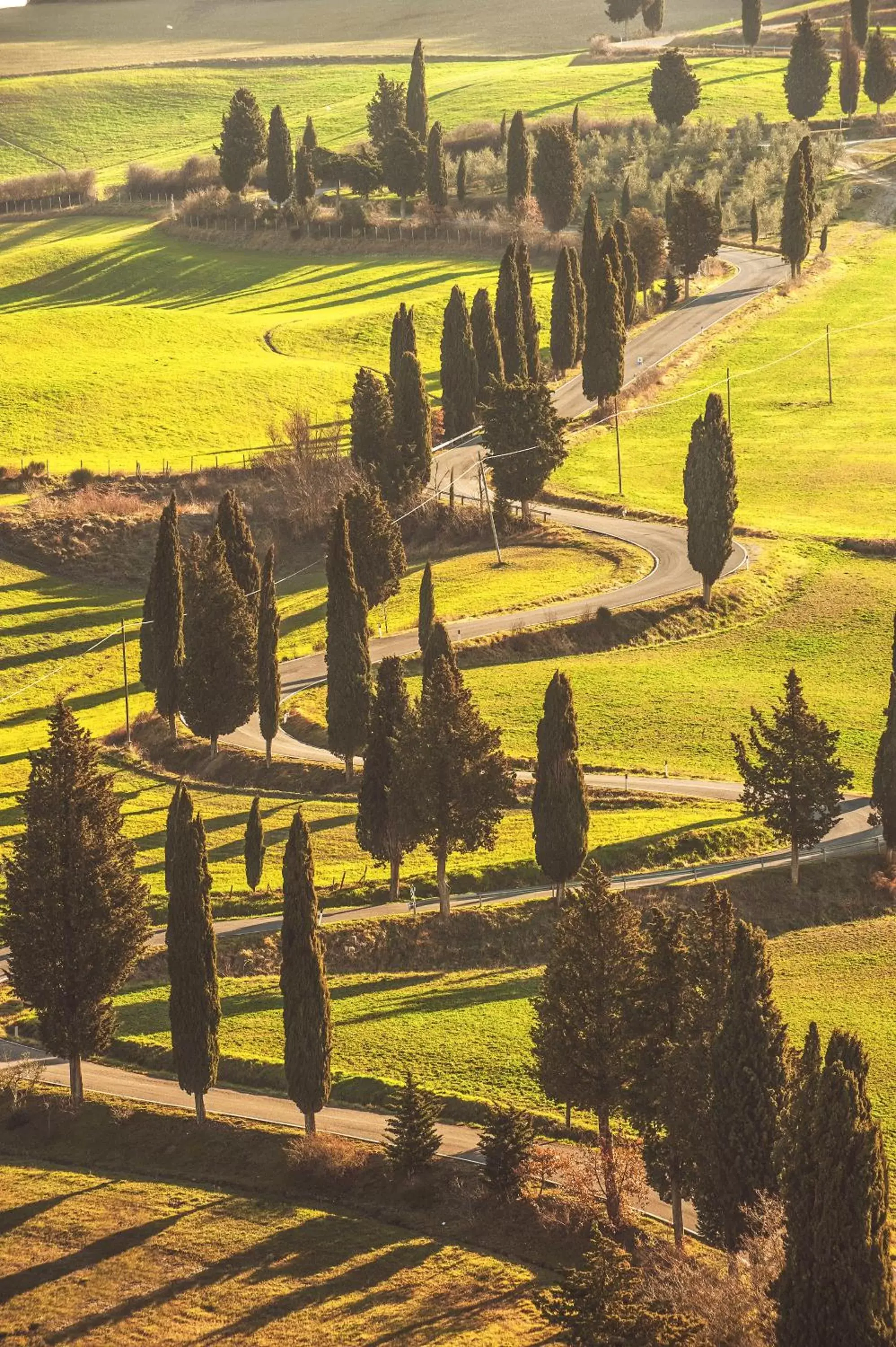 Natural landscape, Garden in Hotel San Gregorio