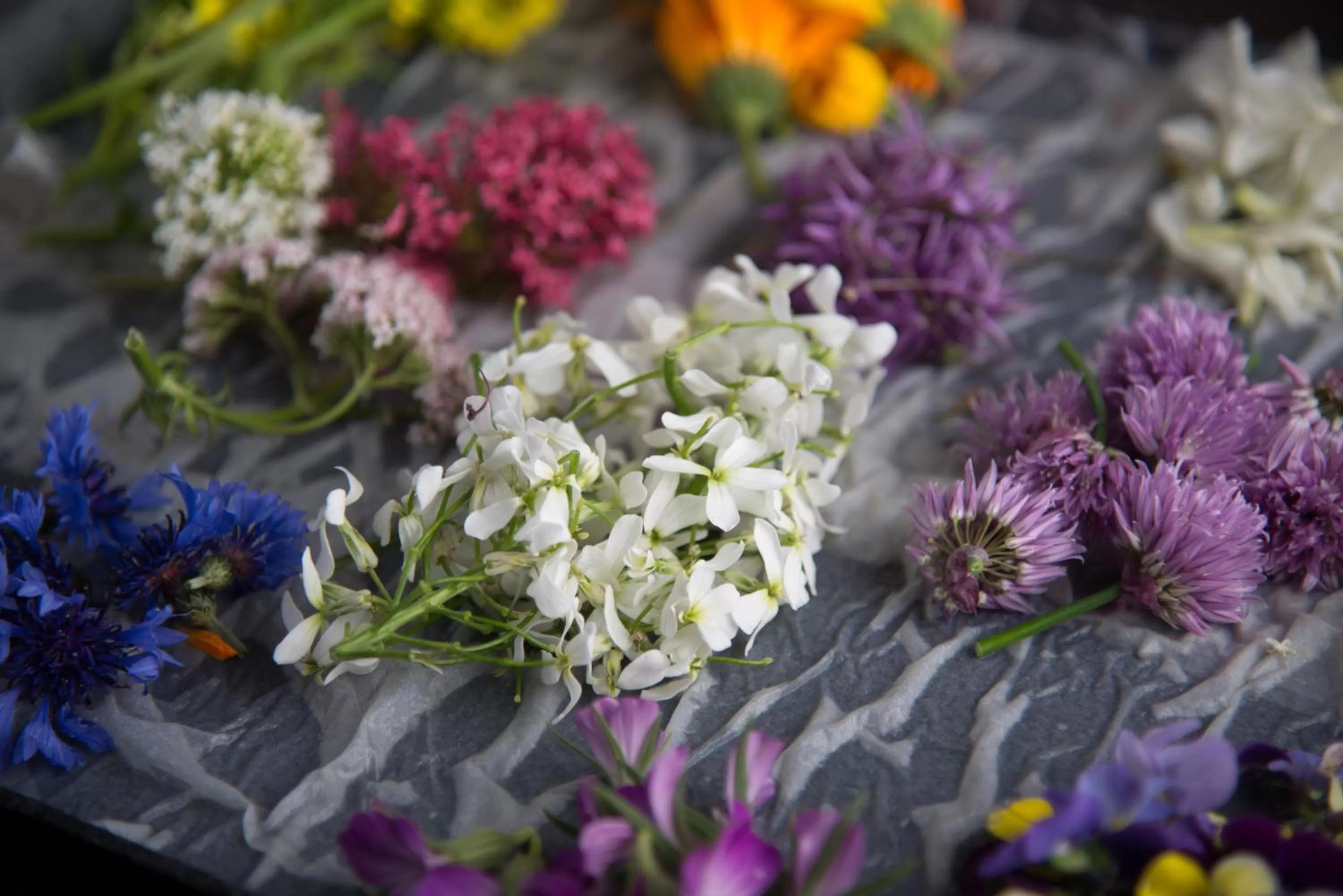 Food and drinks in Hotel Nap