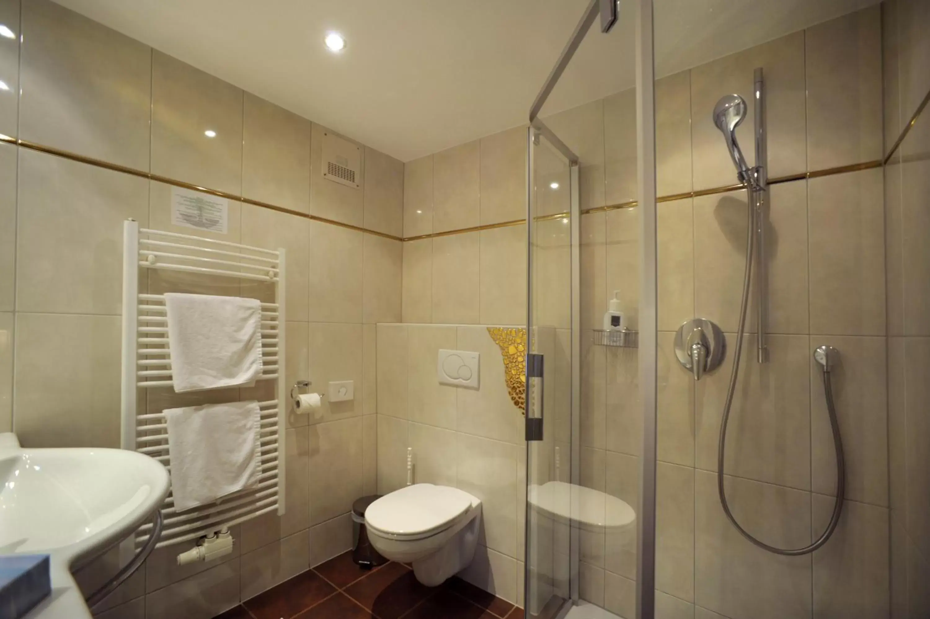 Bathroom in Hotel Goldener Löwe